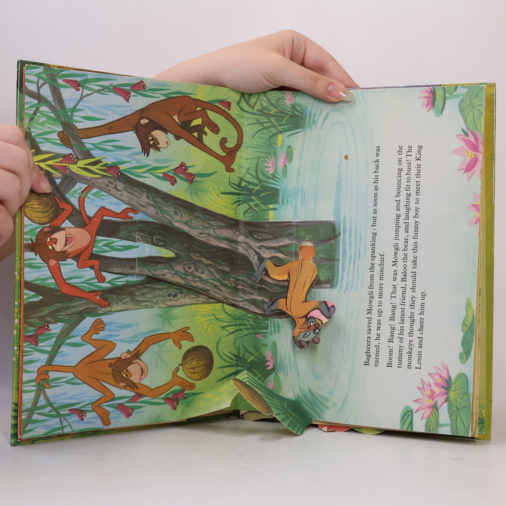 Walt Disney The Jungle Book