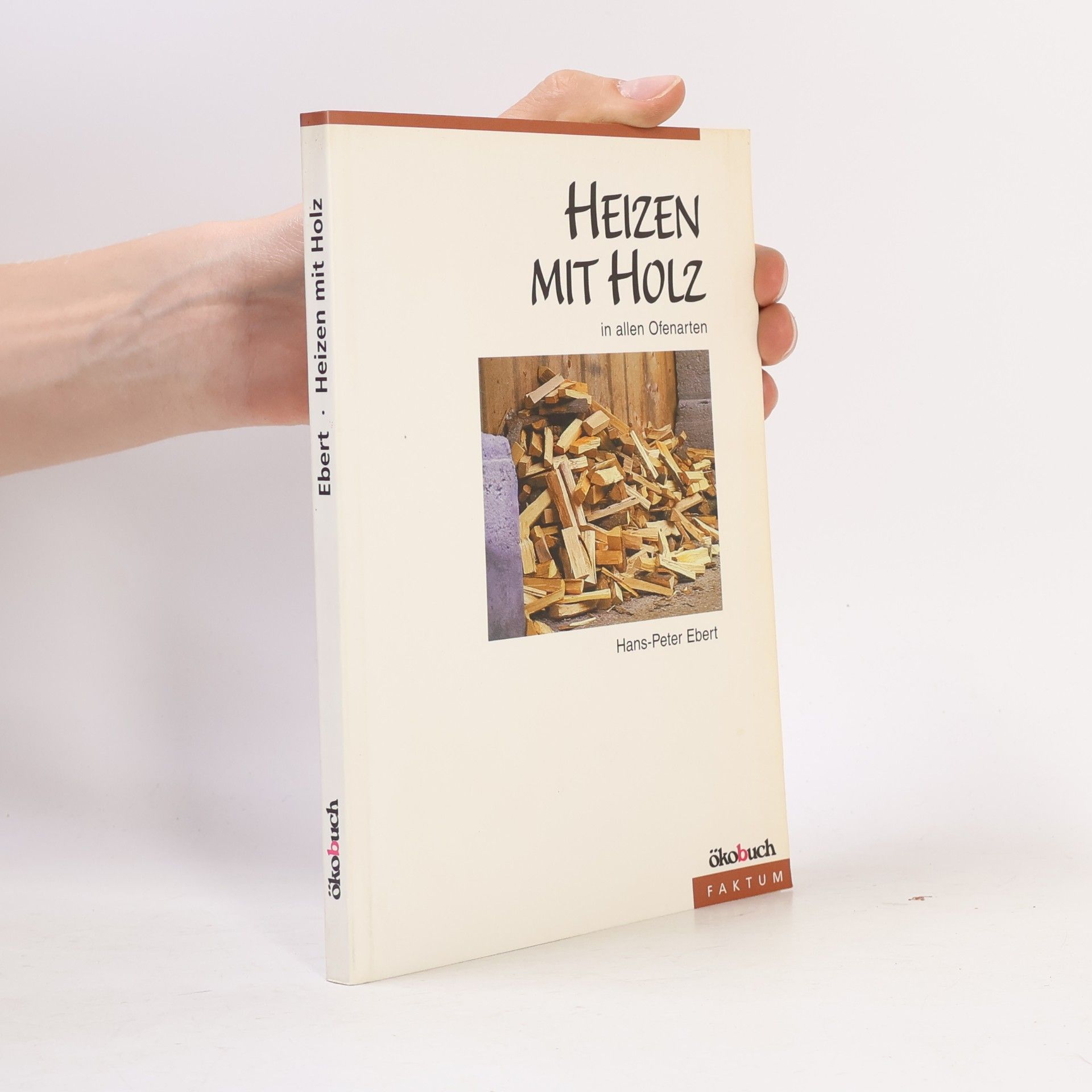 Thorsten Beimgraben Heizen mit Holz in allen Ofenarten
