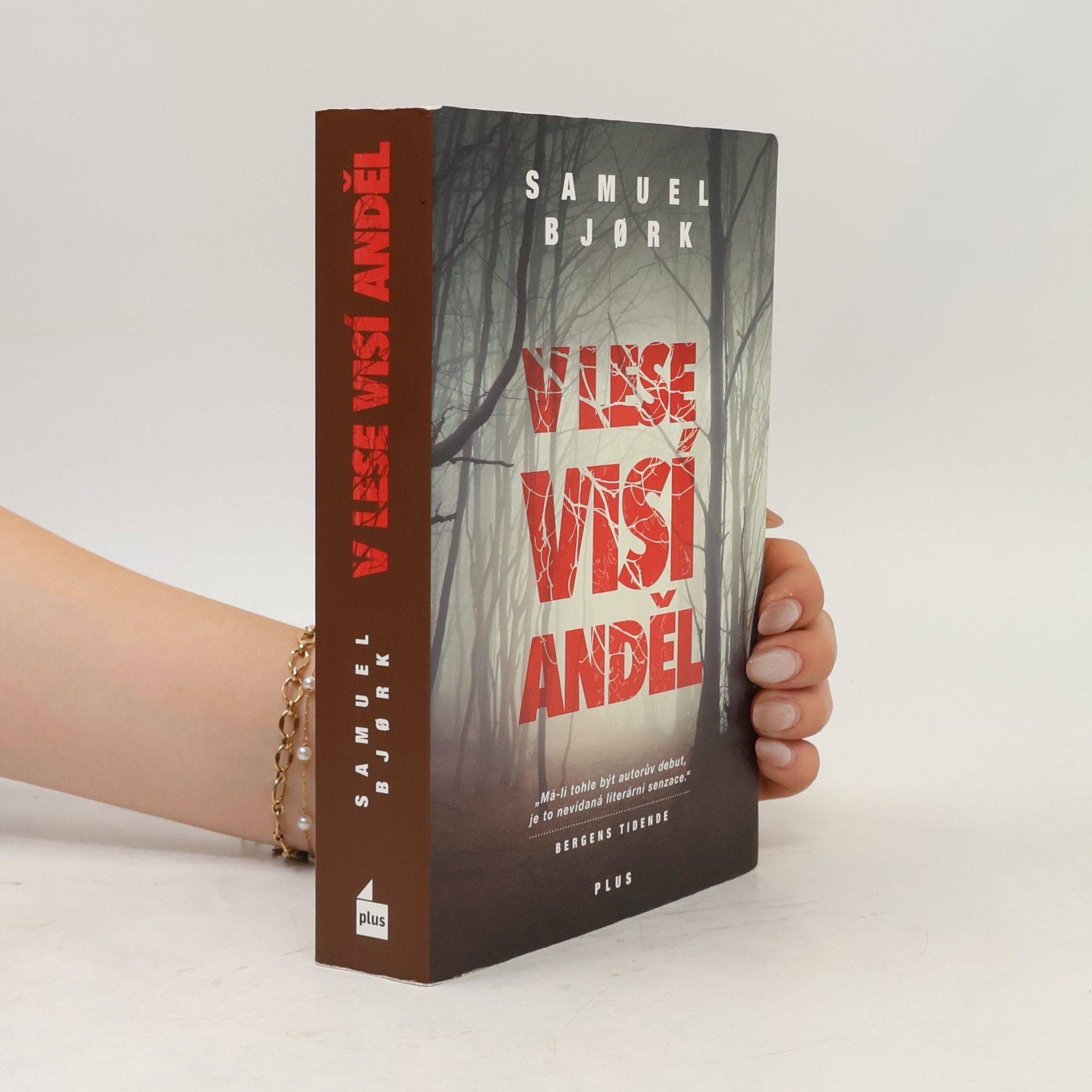 Samuel Bjork V lese visí anděl