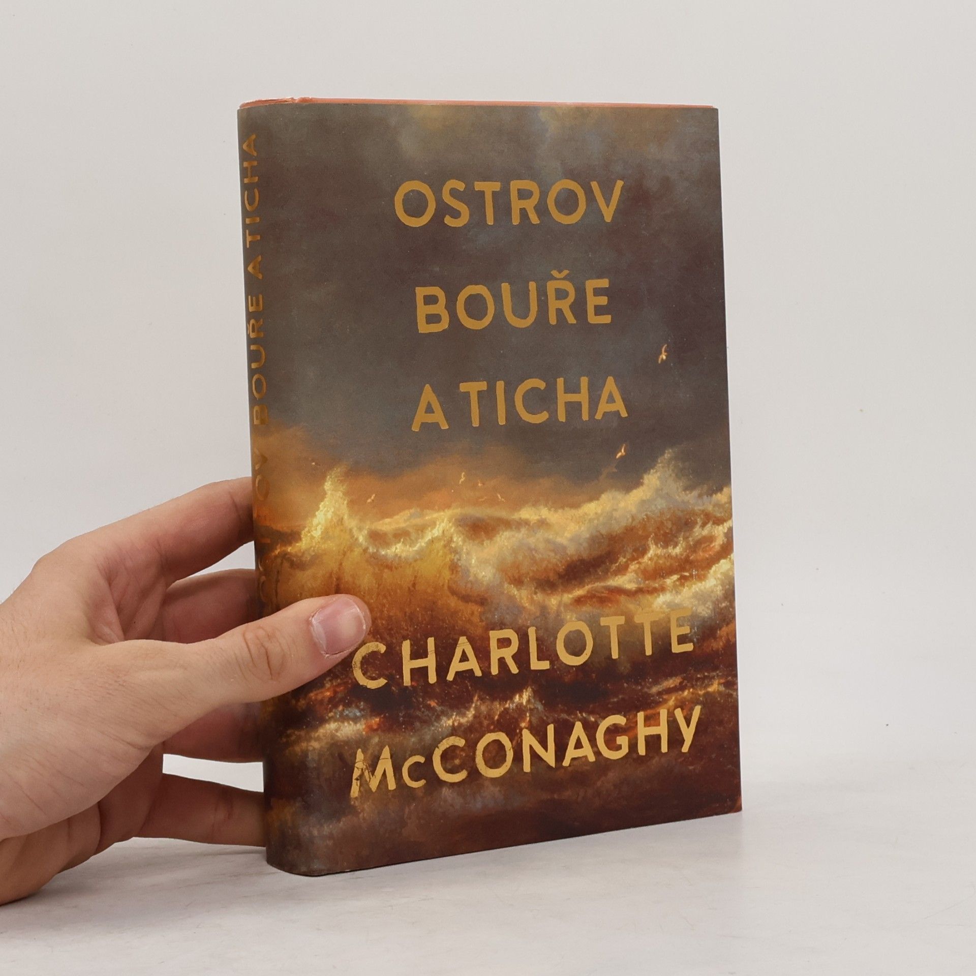CHARLOTTE. MCCONAGHY Ostrov bouře a ticha