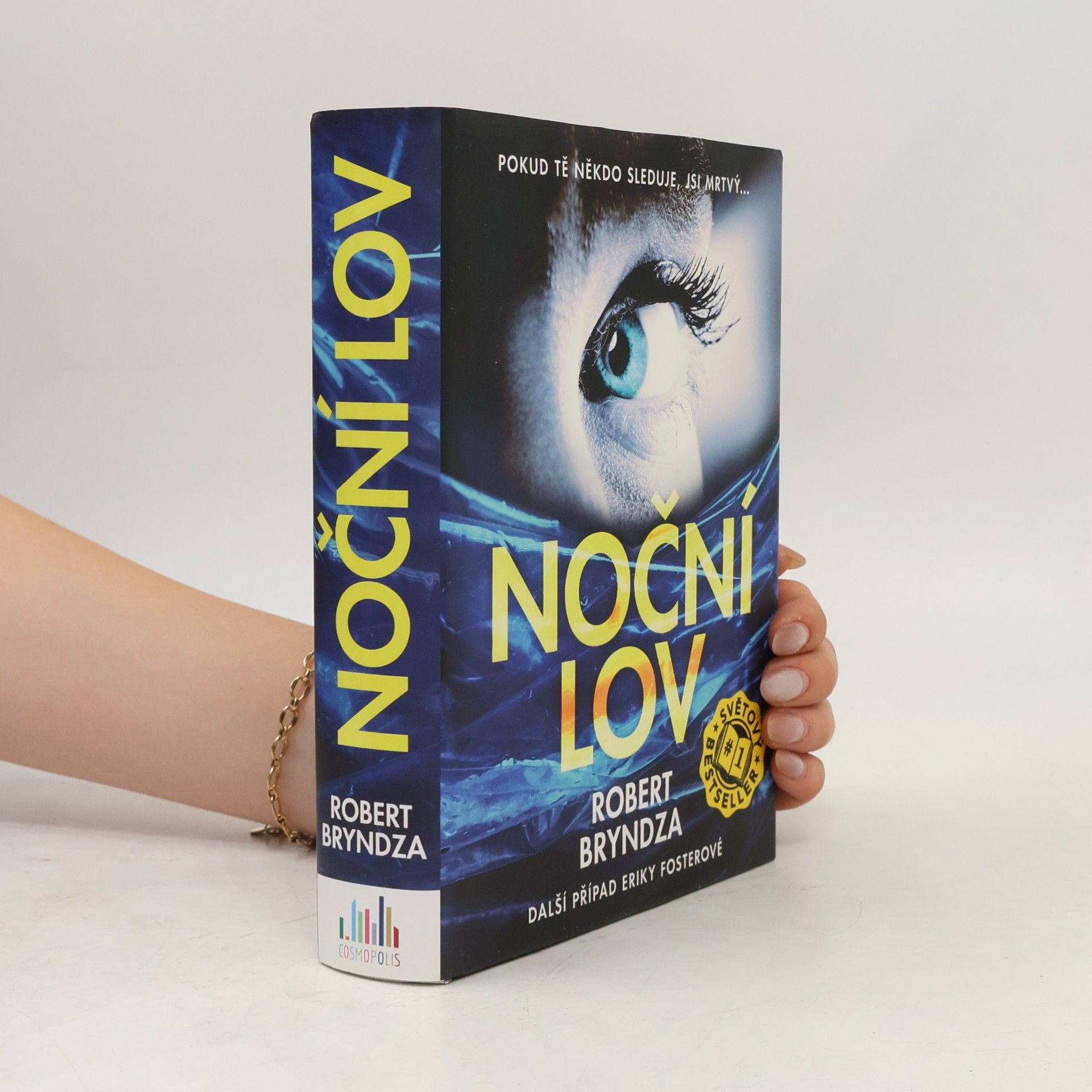 Robert Bryndza Noční lov