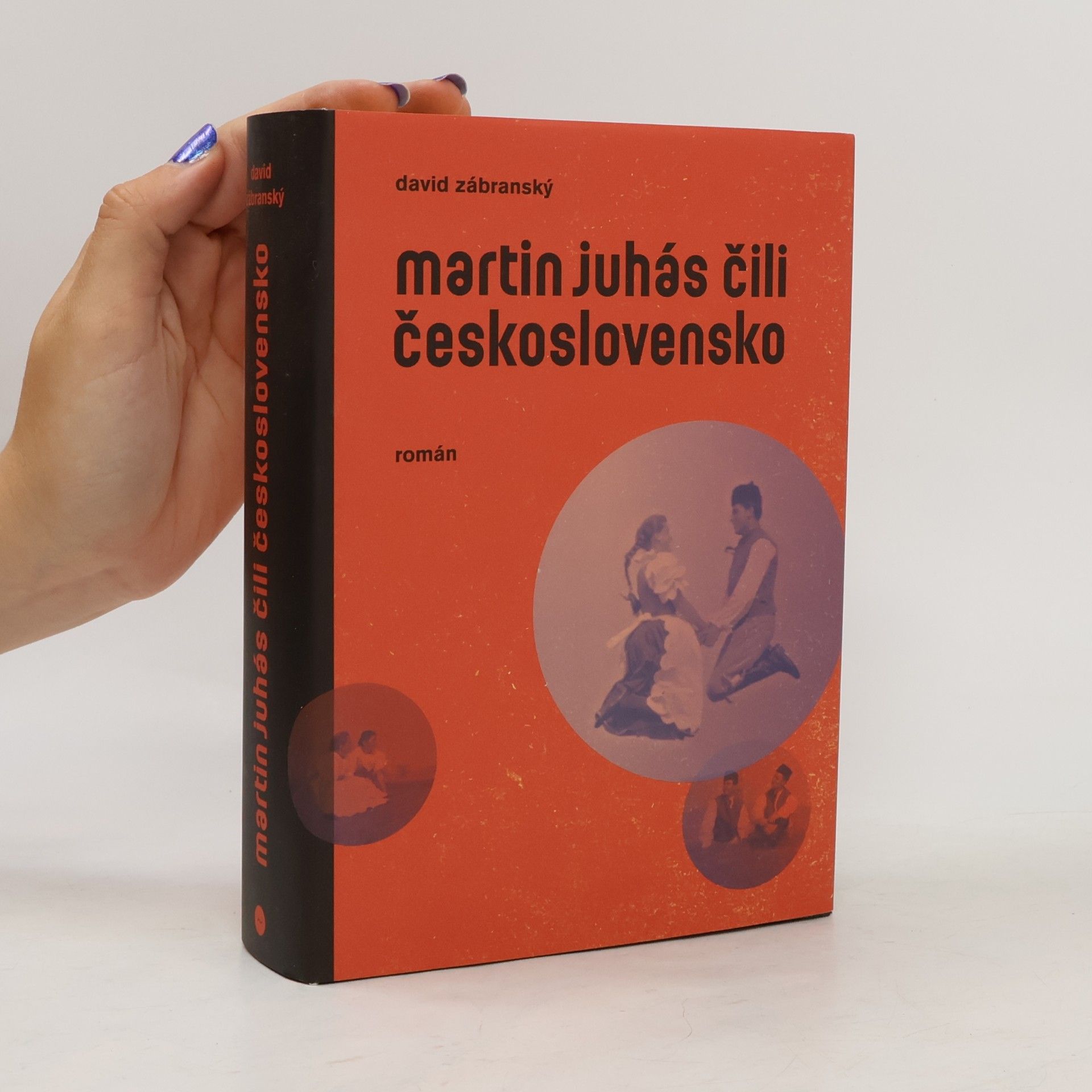 David Zábranský Martin Juhás, čili, Československo : román