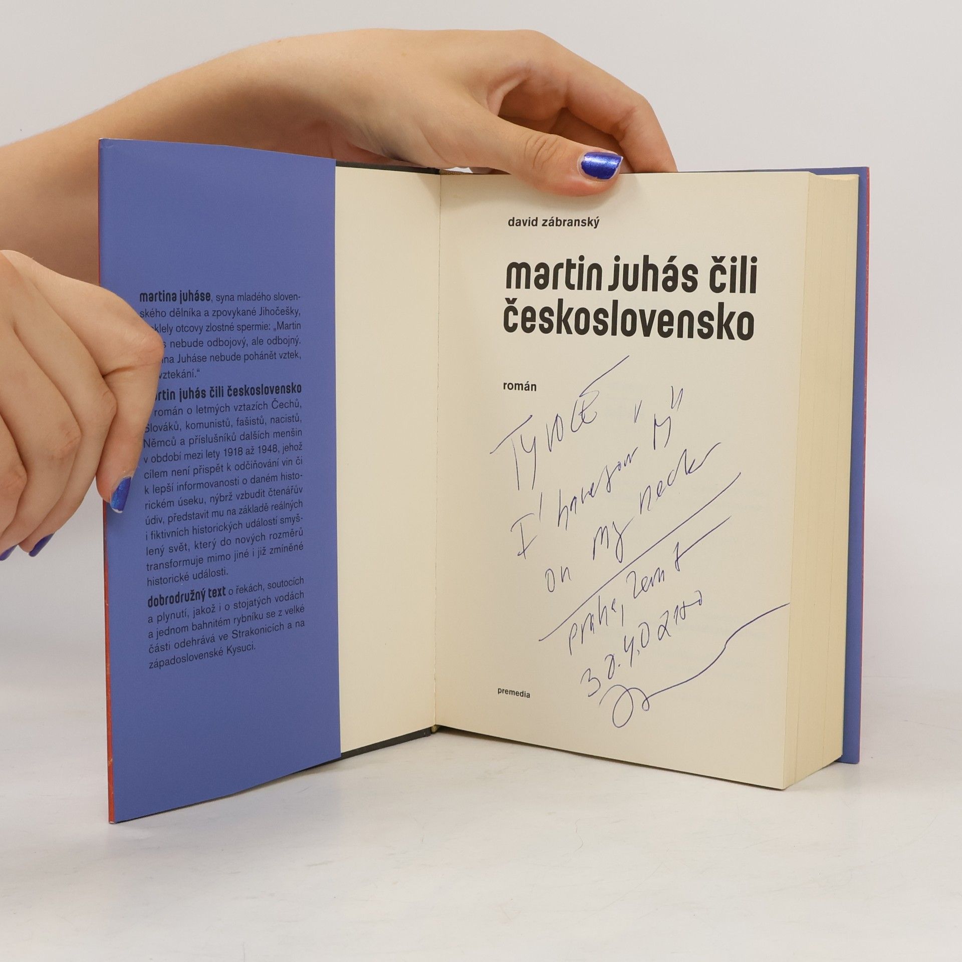 David Zábranský Martin Juhás, čili, Československo : román