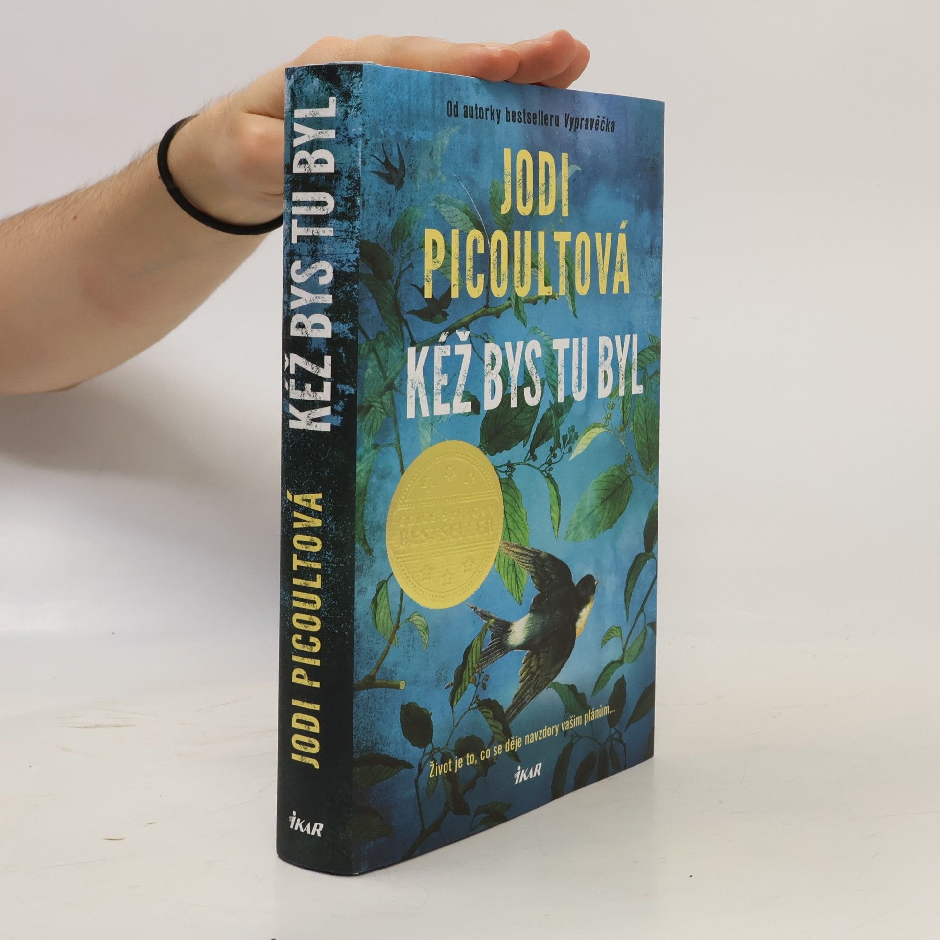 Marcela Nejedlá Kéž bys tu byl
