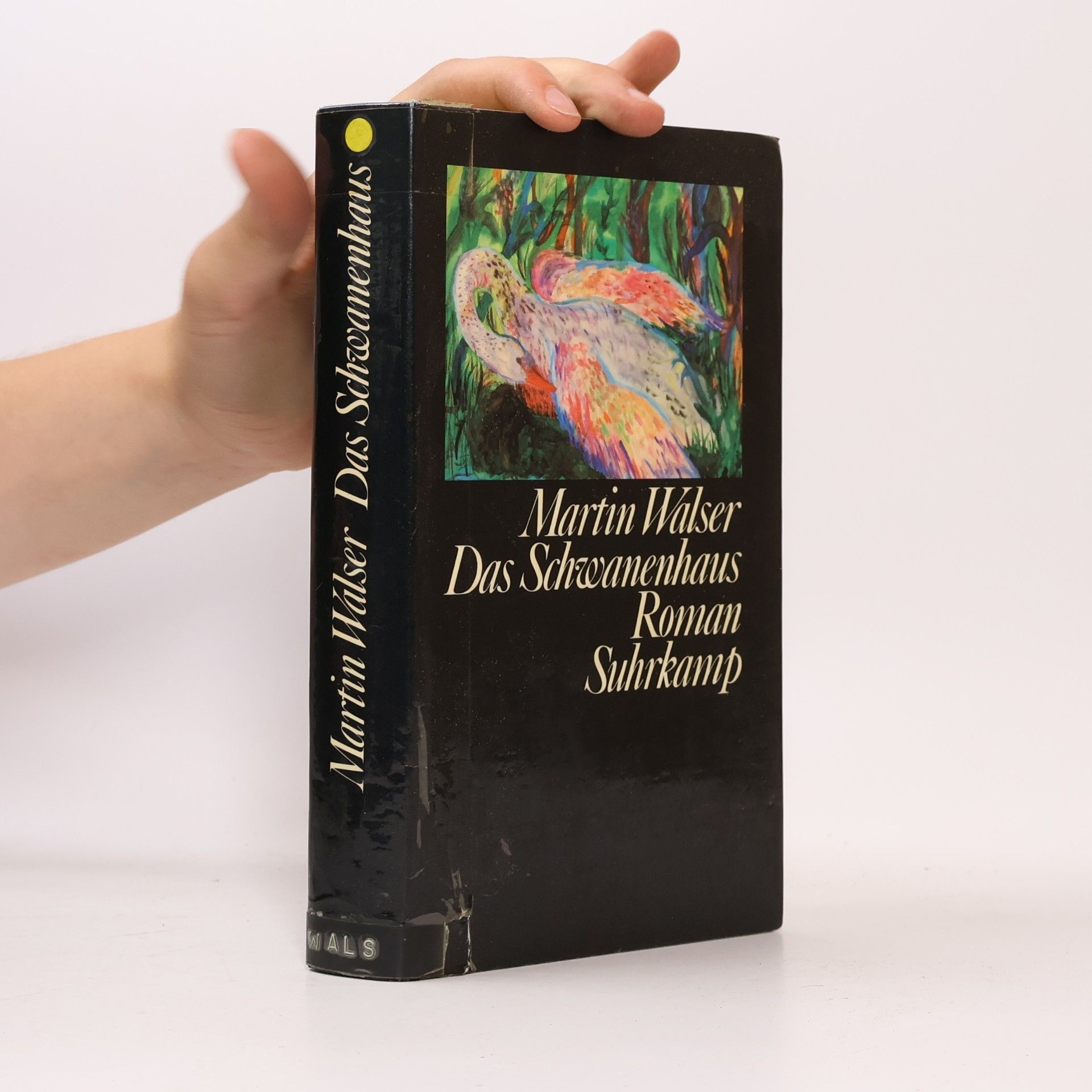Martin Walser Das Schwanenhaus