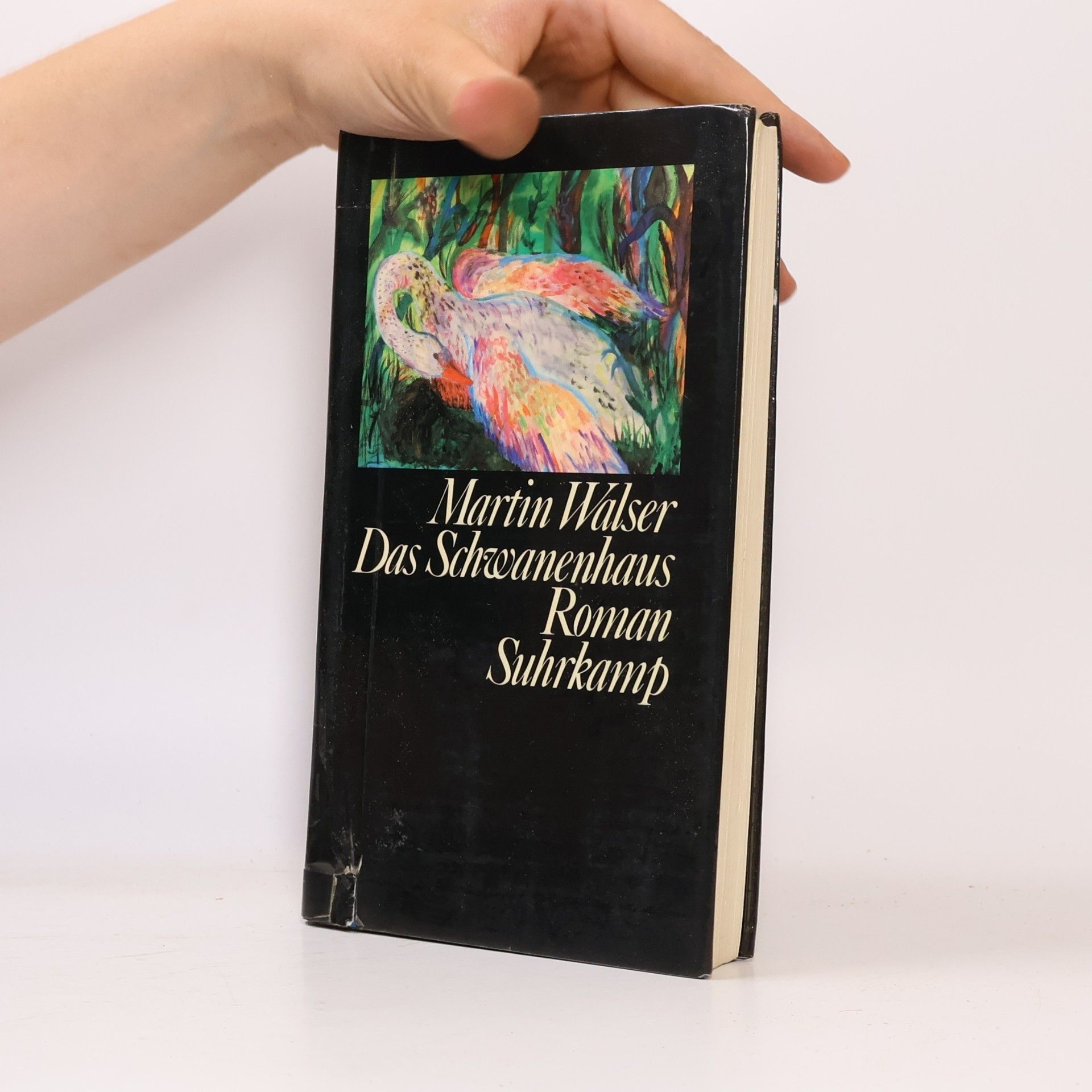 Martin Walser Das Schwanenhaus
