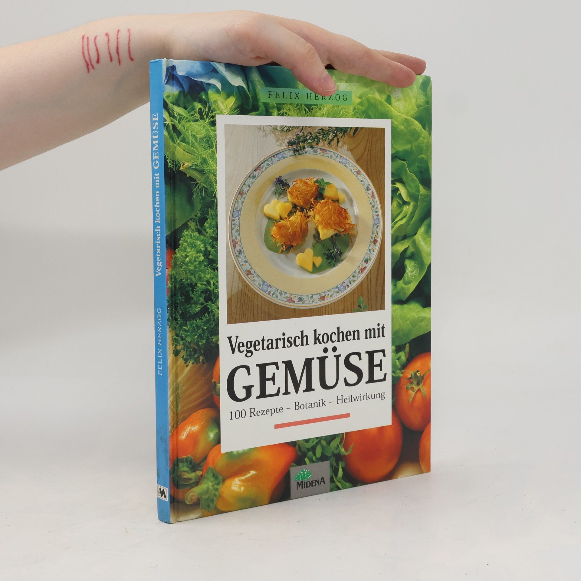 Felix Herzog Vegetarisch kochen mit Gemüse