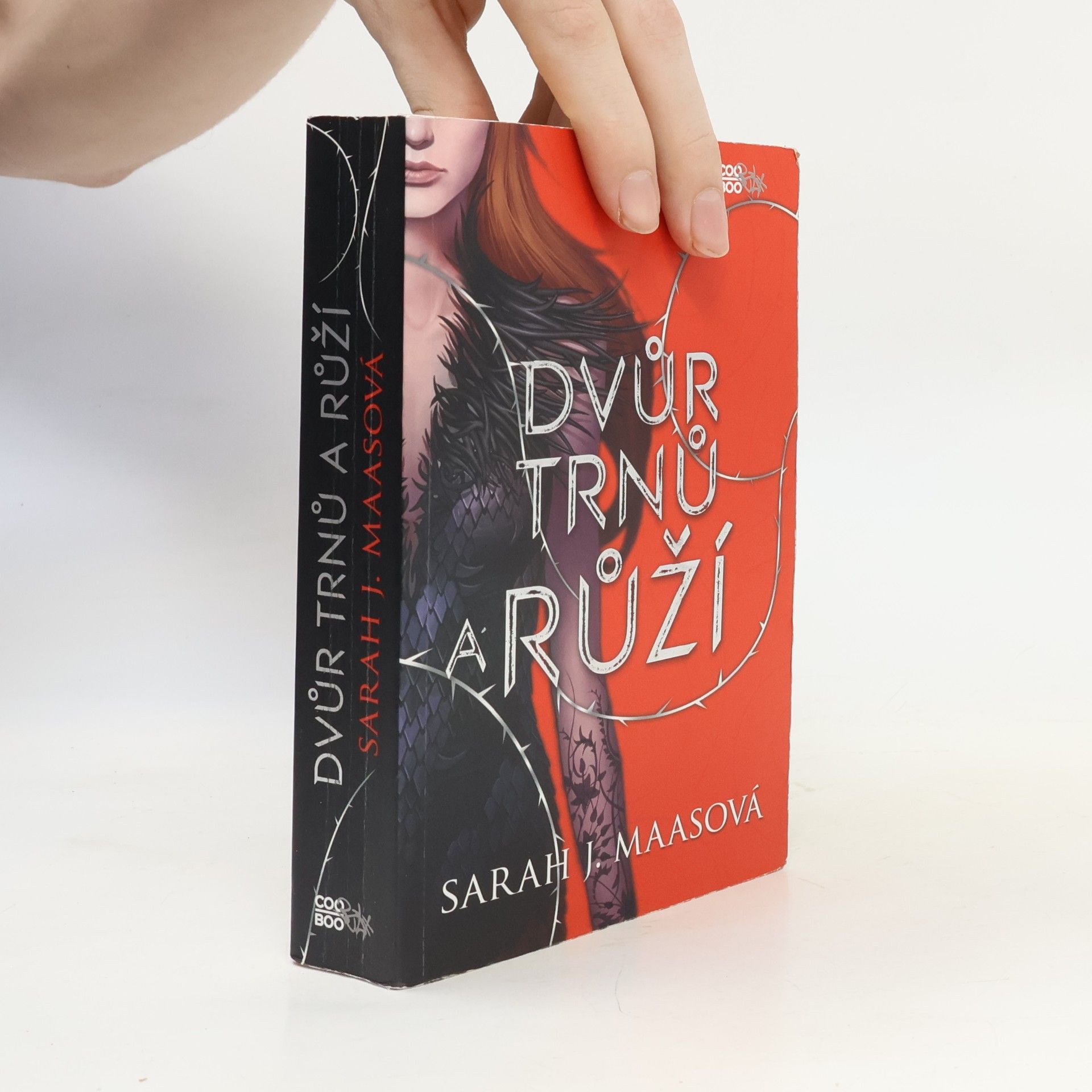 Sarah J. Maas Dvůr trnů a růží