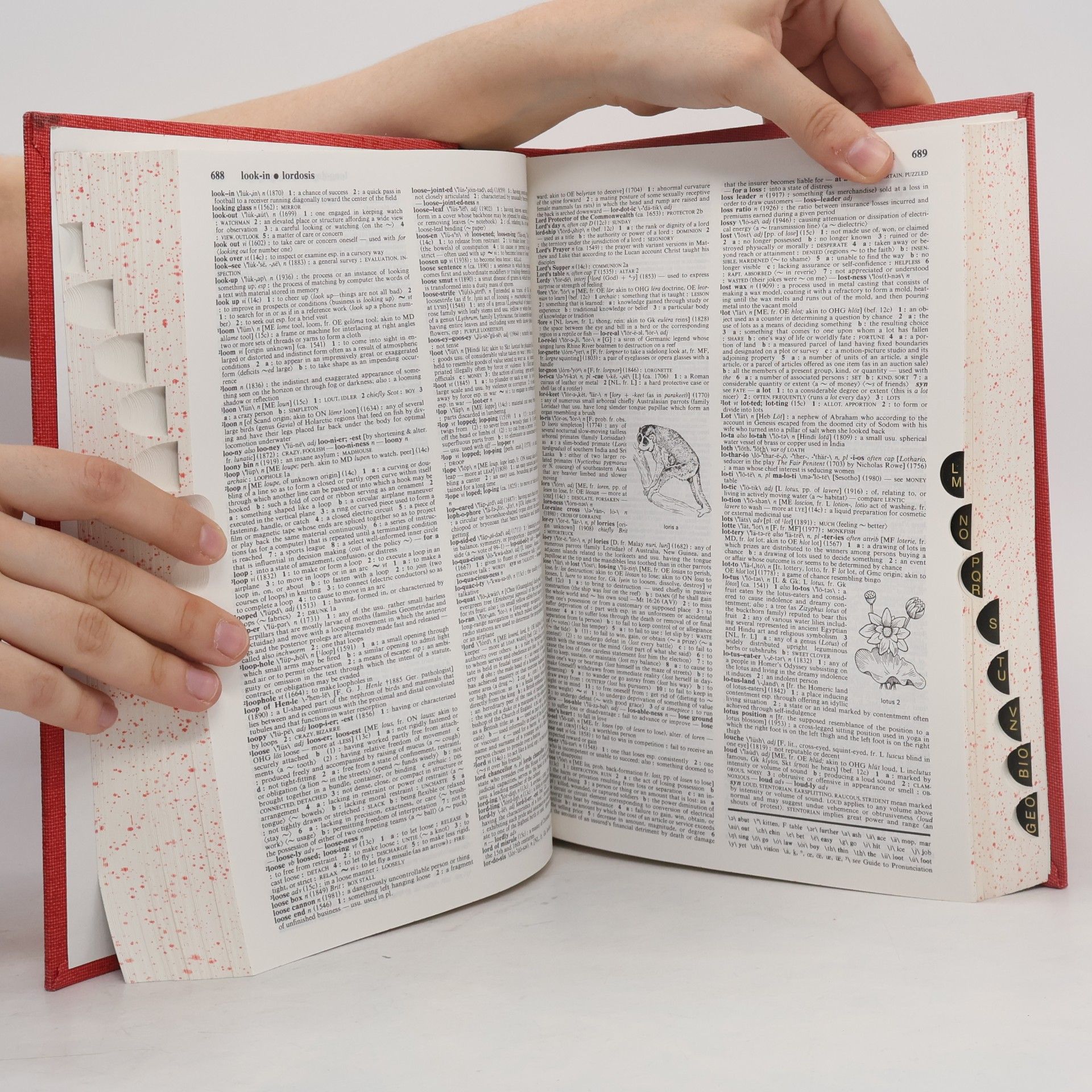 Merriam-Webster Merriam-Webster's Collegiate Dictionary