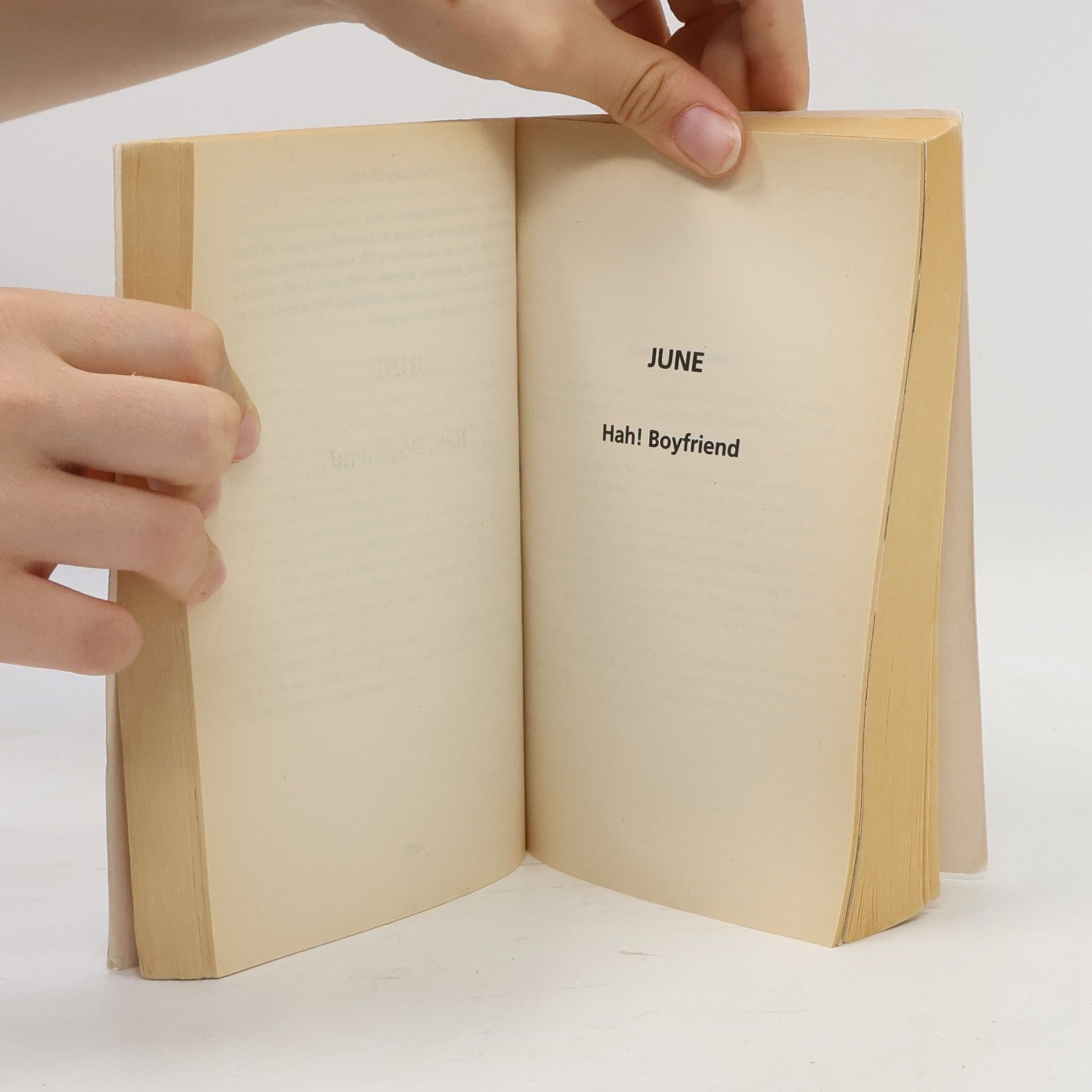 Helen Fielding Bridget Jones's Diary