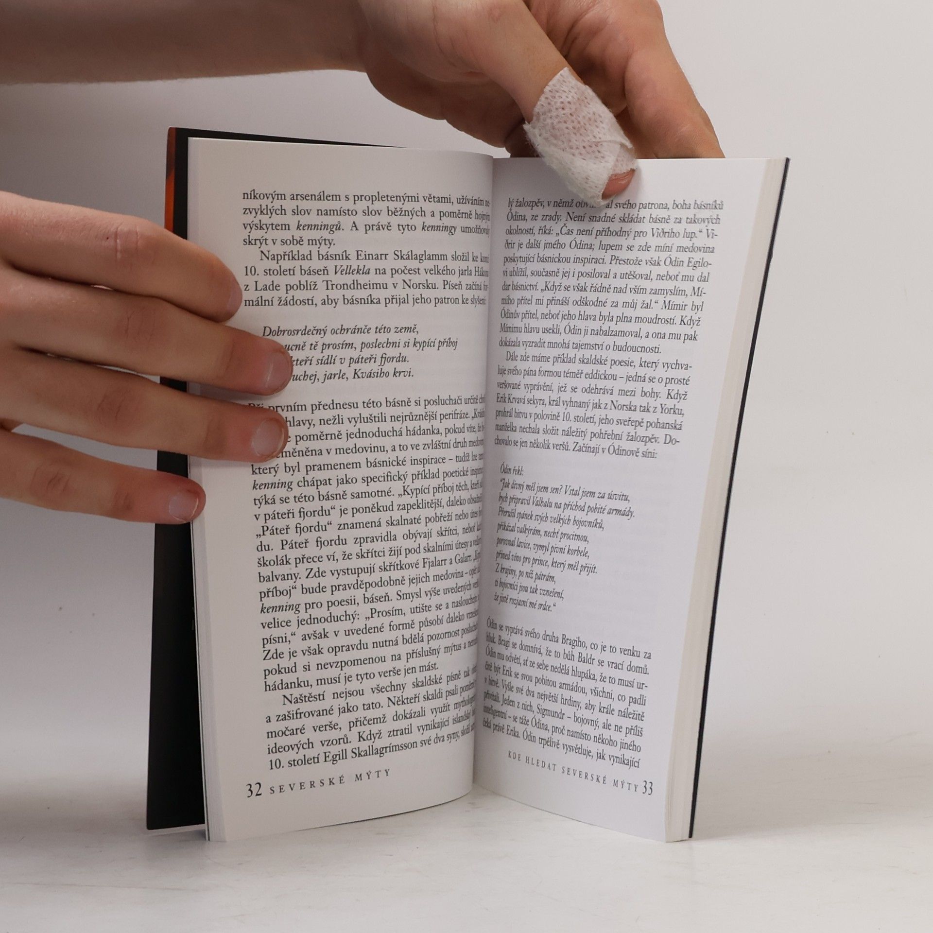 R. I. (Raymond Ian) Page Severské mýty