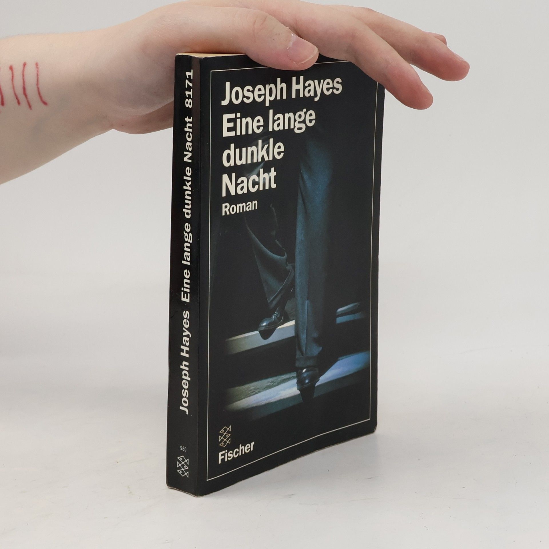 Joseph Hayes Eine lange dunkle Nacht