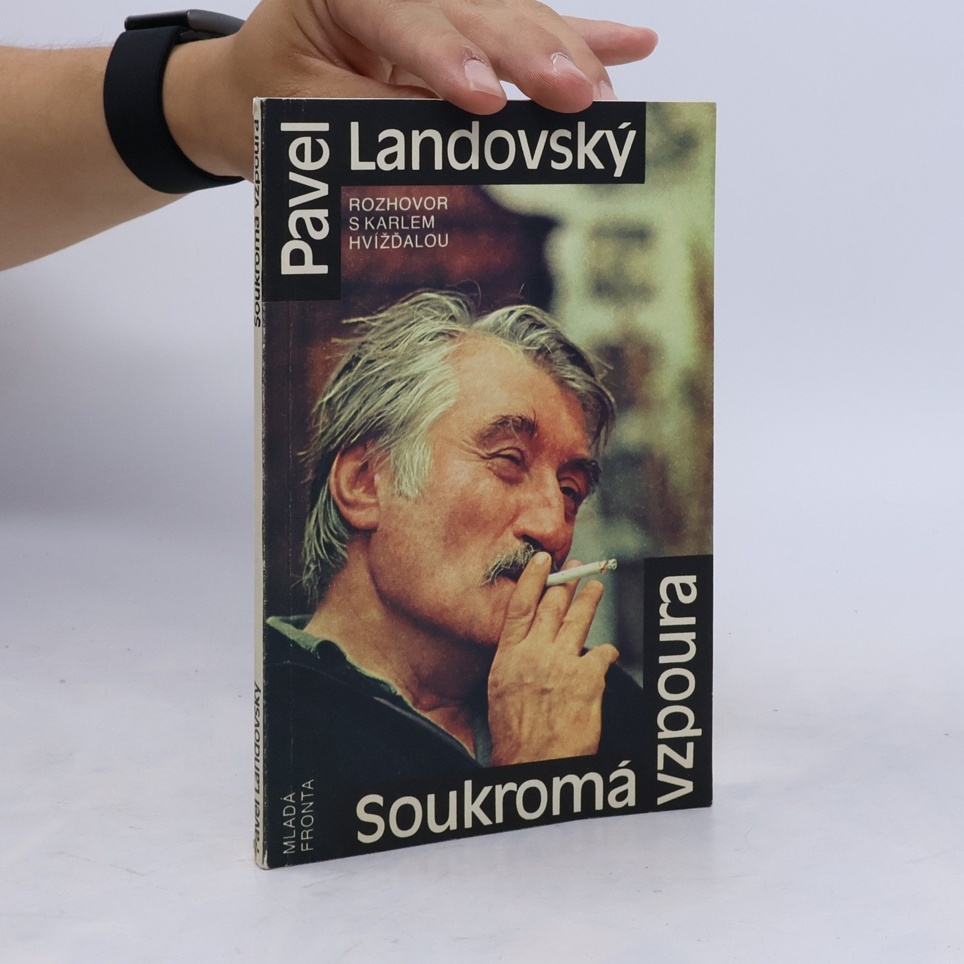 Karel Hvížďala Soukromá vzpoura