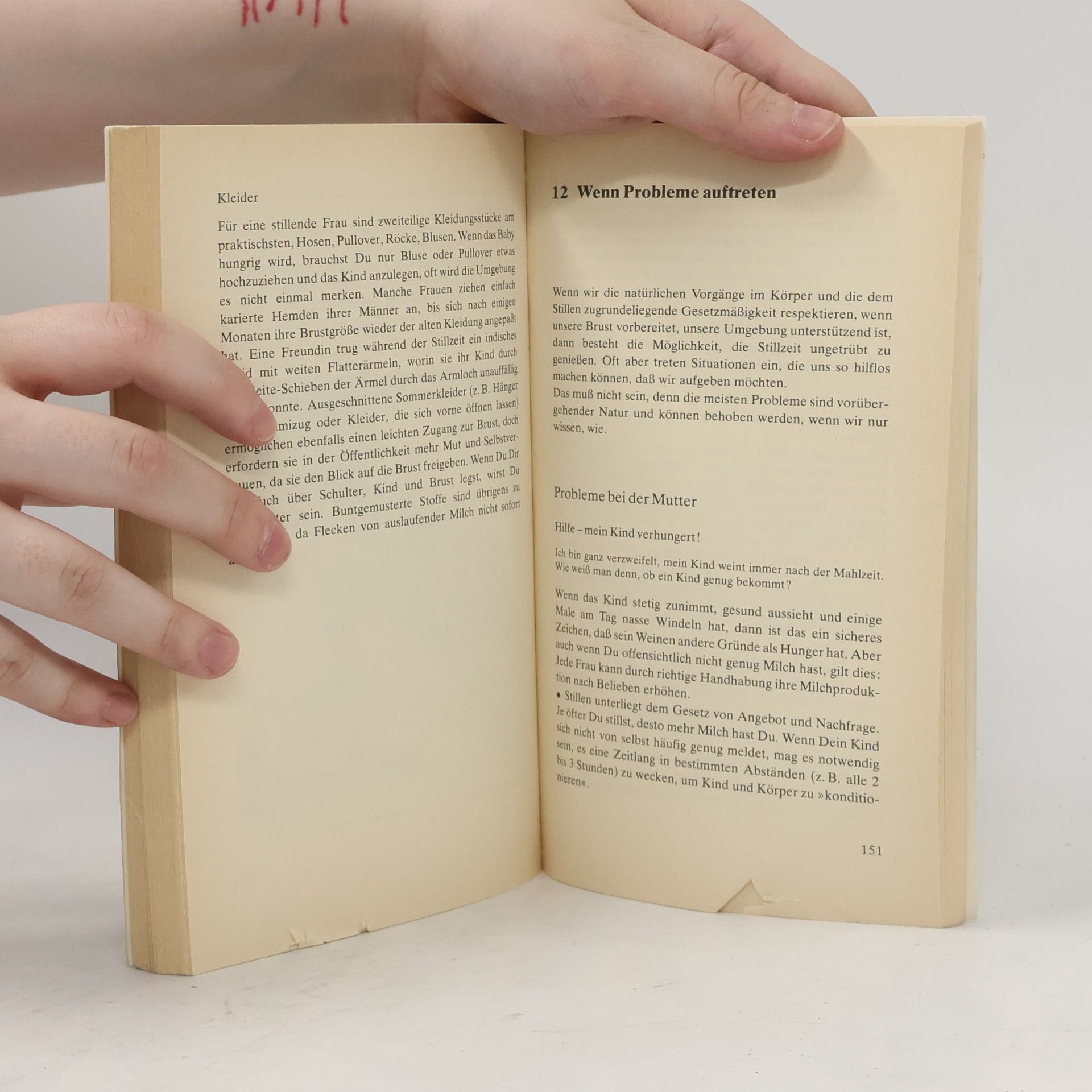 Hanny Lothrop Das Stillbuch