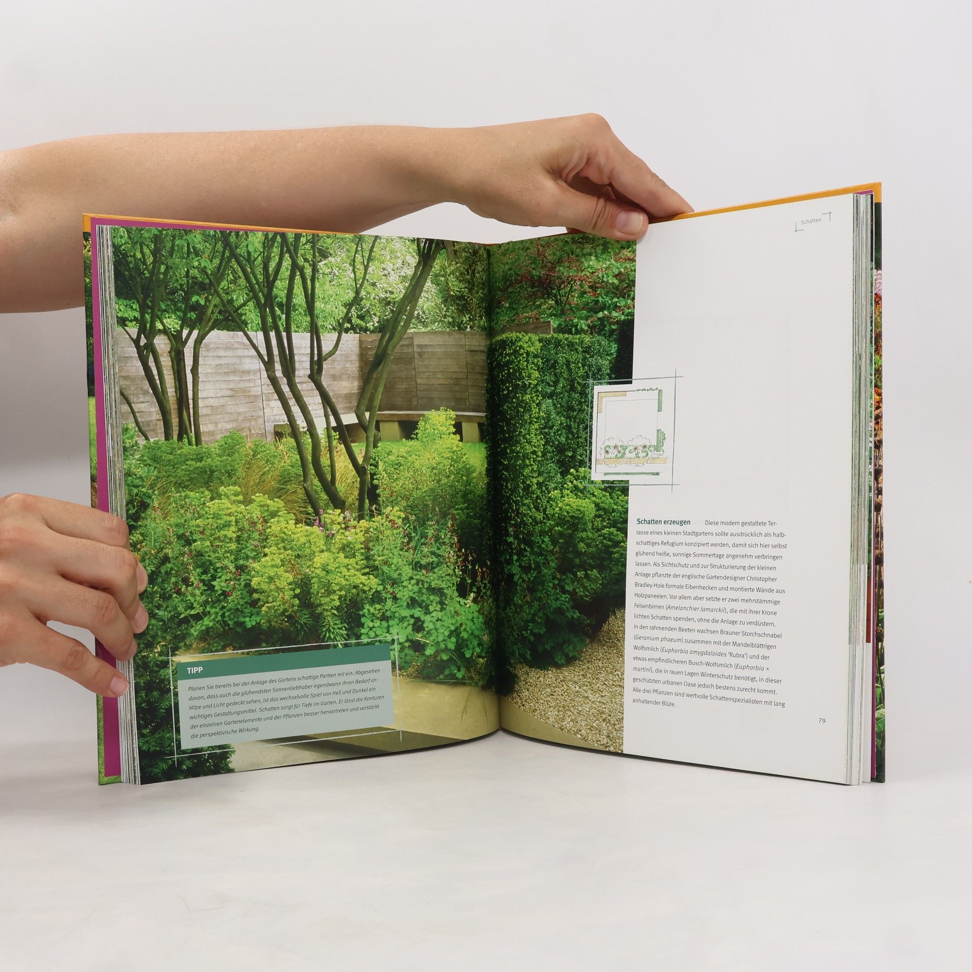 Marion Lagoda Ideenbuch moderne Beete