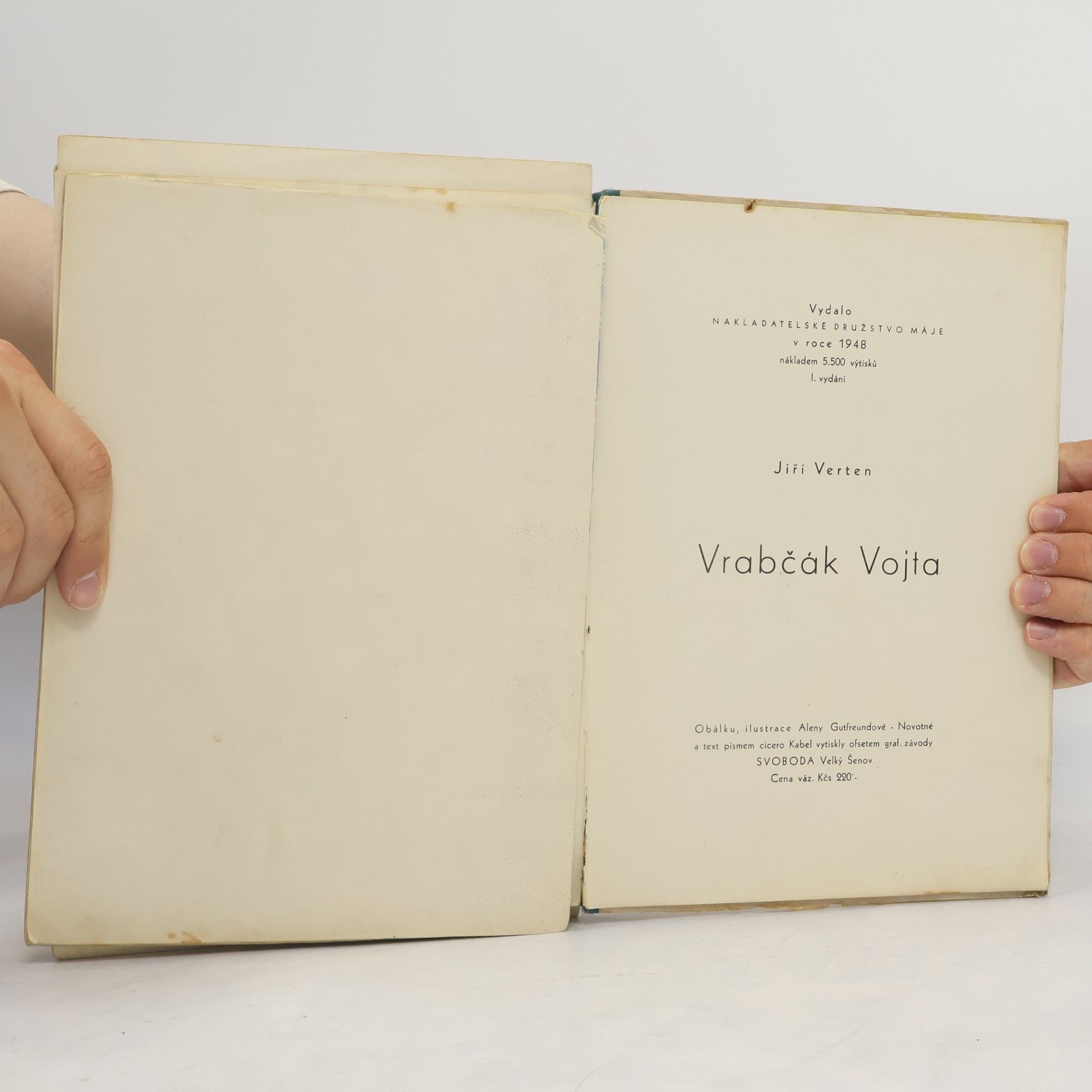 Jiří Verten Vrabčák Vojta