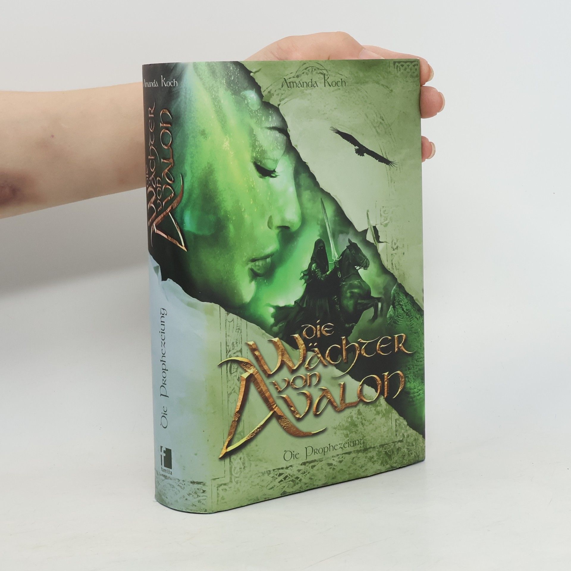 Amanda Koch Die Wächter von Avalon