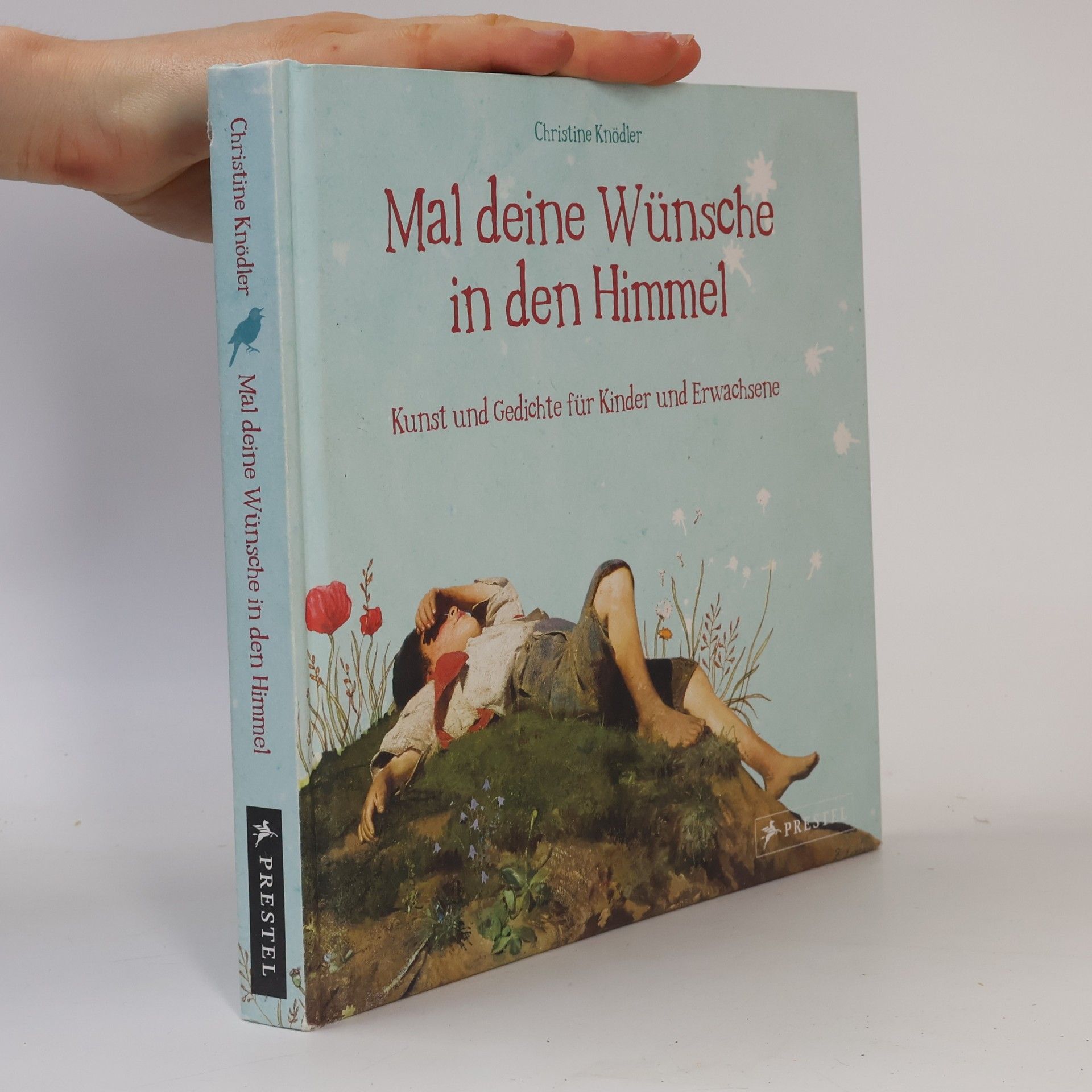 Christine Knödler Mal deine Wünsche in den Himmel