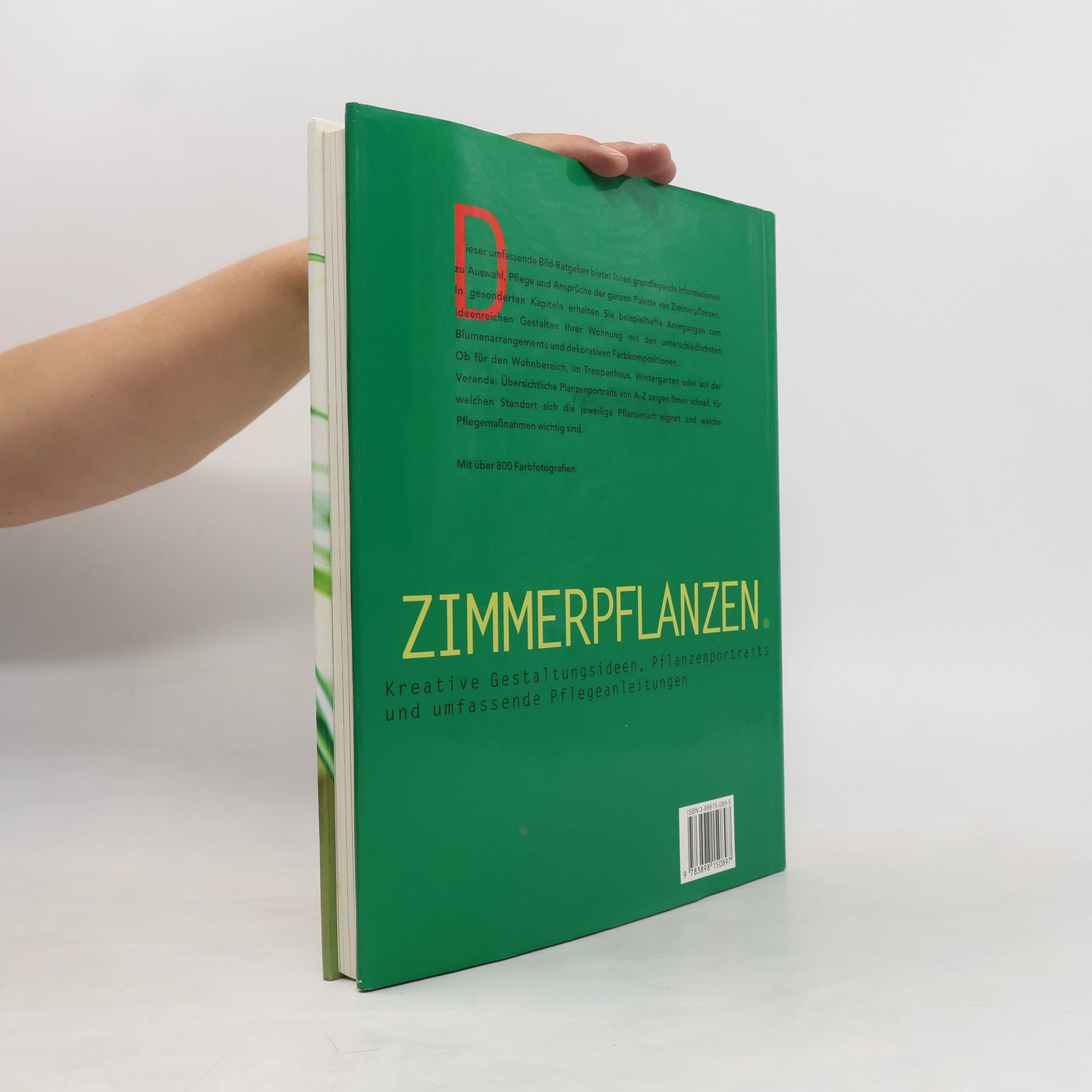 Autorenkollektiv Zimmerpflanzen