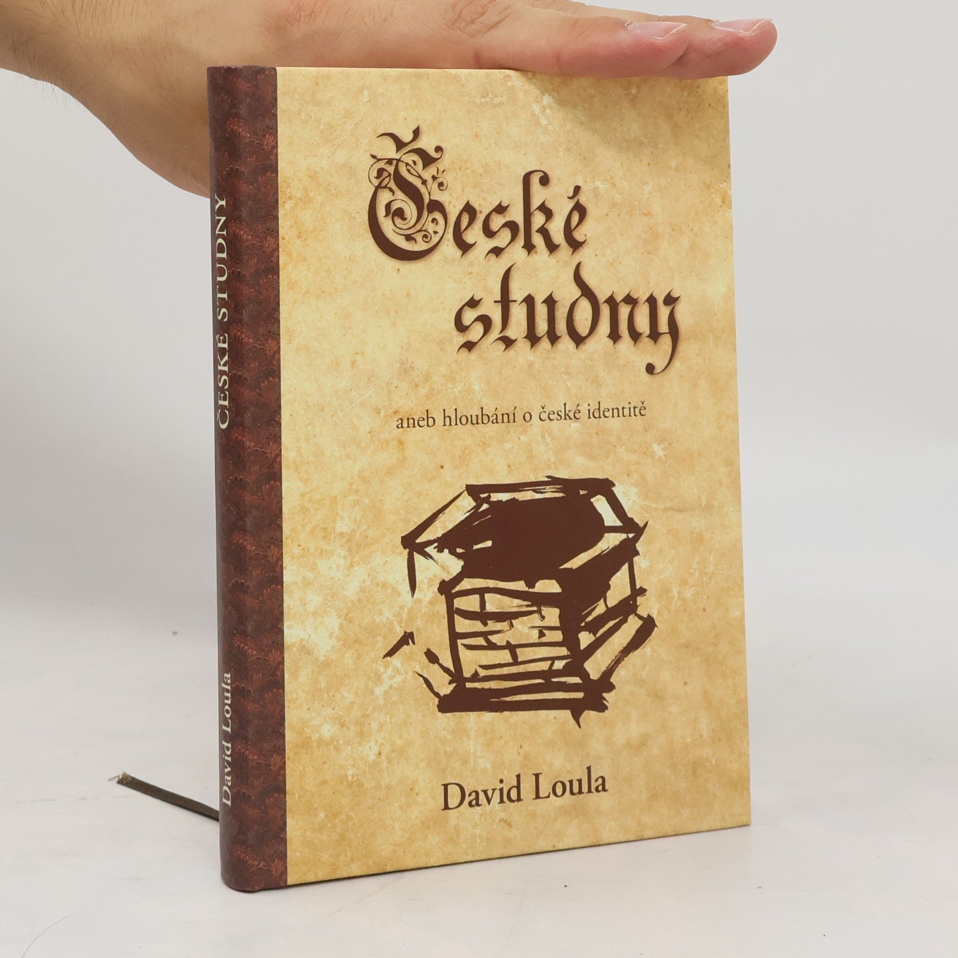 David Loula České studny, aneb, Hloubání o české identitě