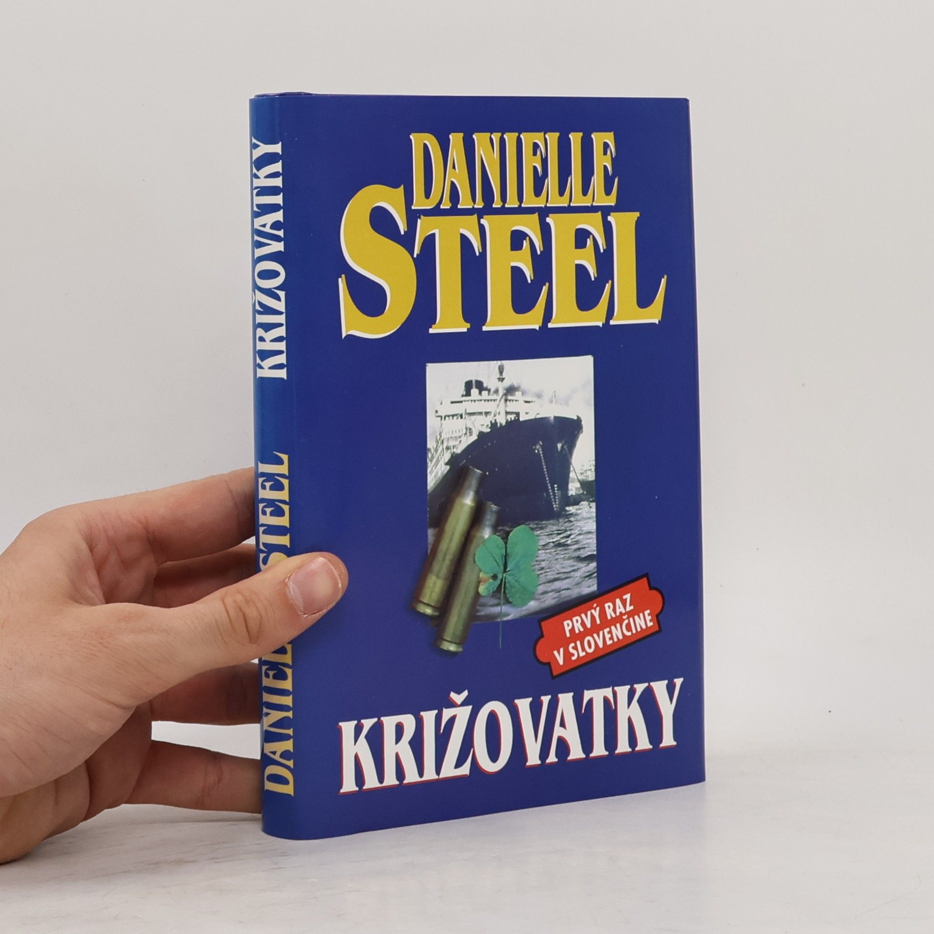 Danielle Steel Križovatky