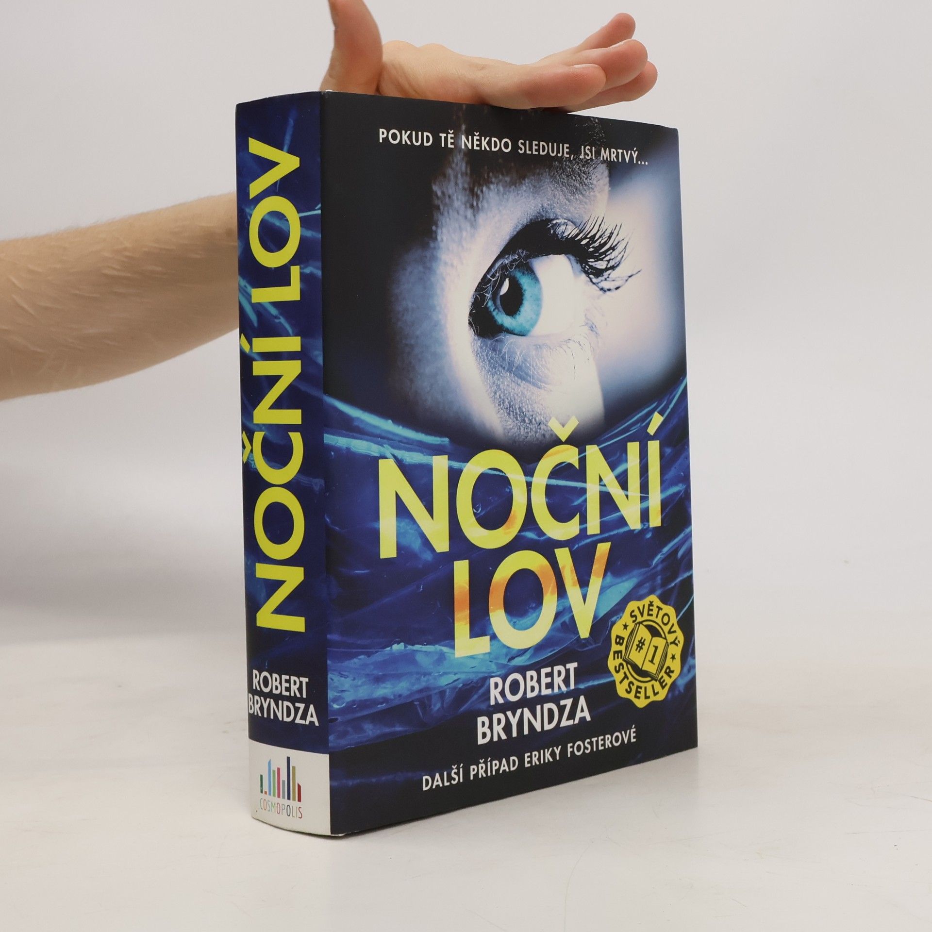 Robert Bryndza Noční lov