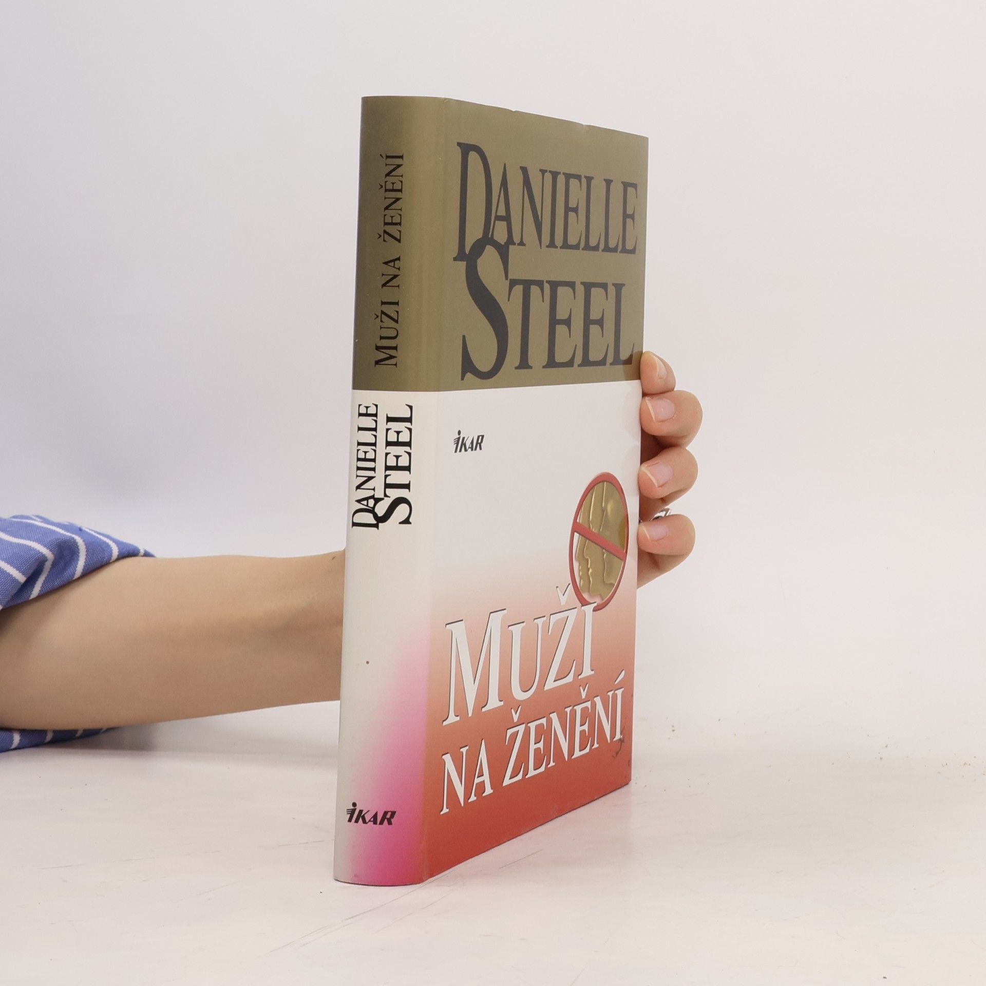 Danielle Steel Muži na ženění