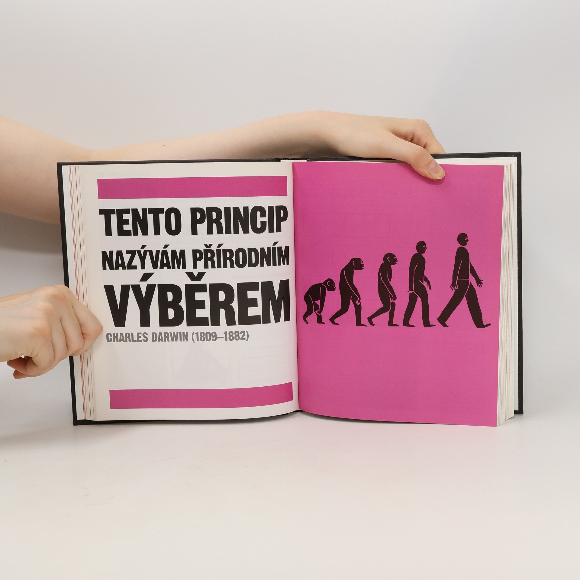 Autorenkollektiv Kniha vědy