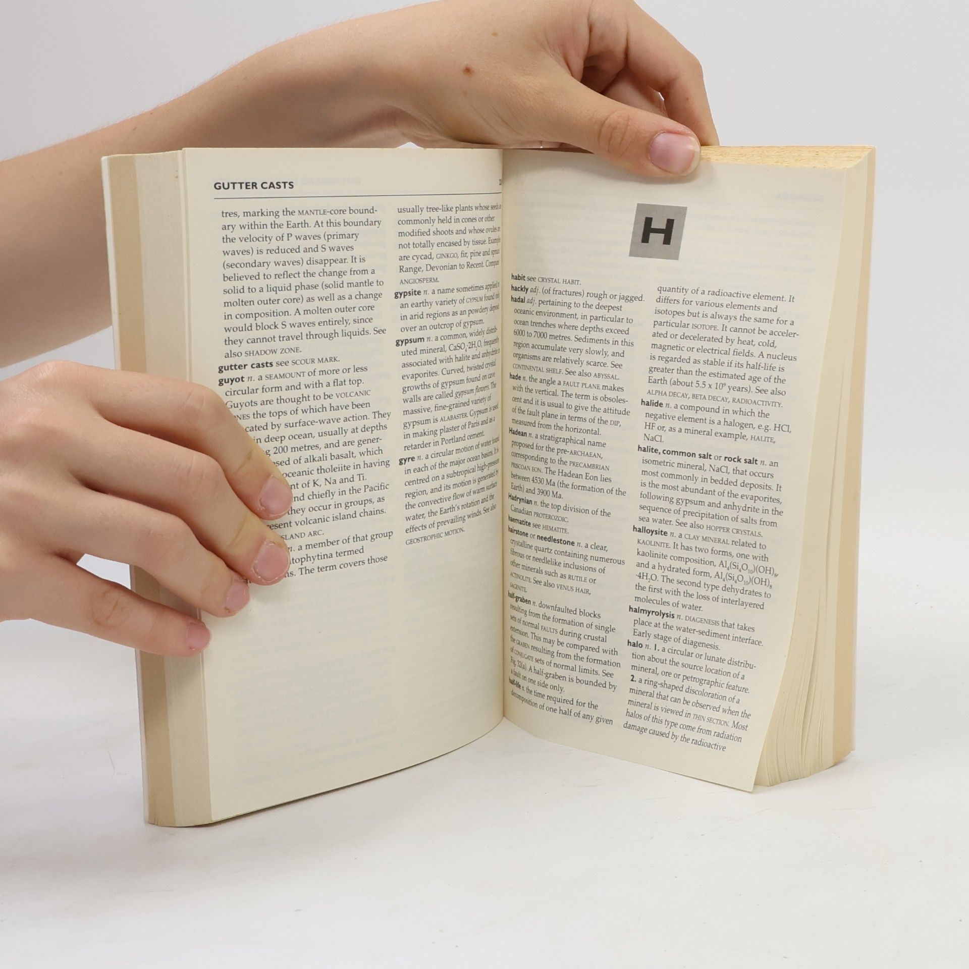 Dorothy Farris Lapidus Collins Dictionary of Geology