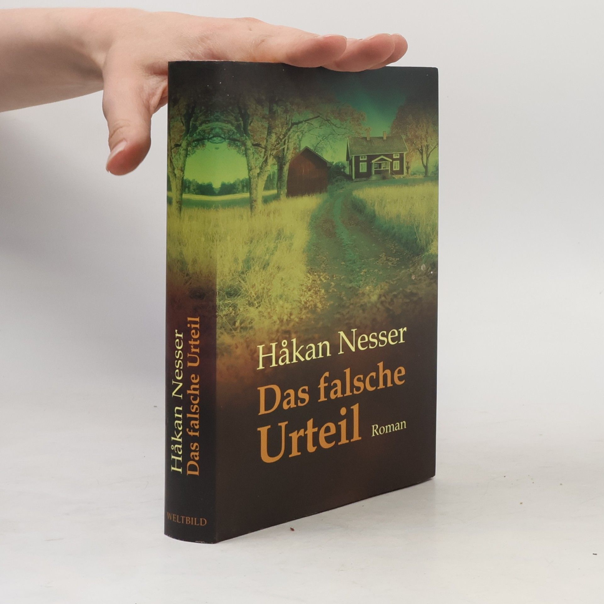 Håkan Nesser Das falsche Urteil