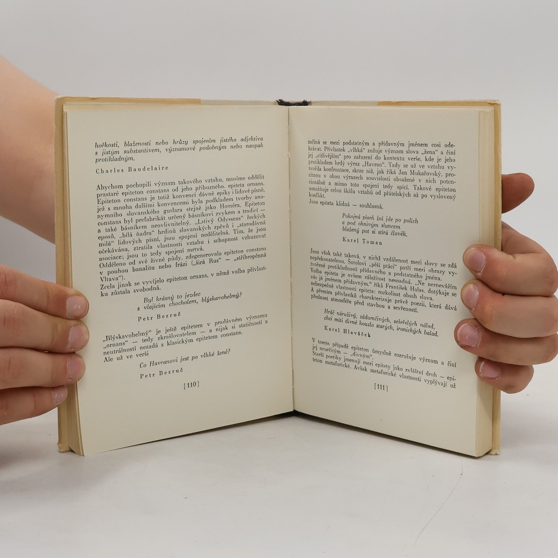 Josef Brukner Větší poetický slovník