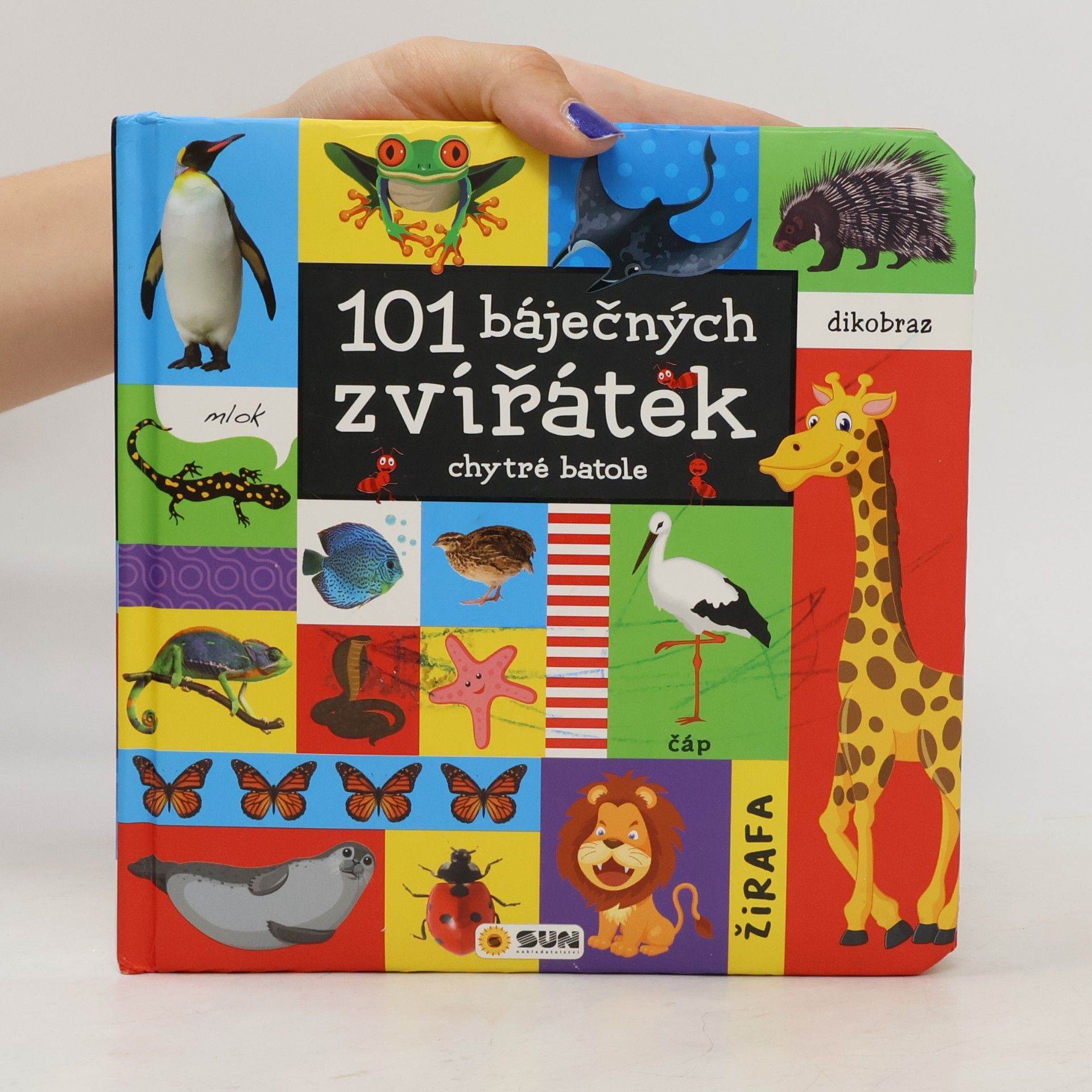 Dita Křišťanová 101 báječných zvířátek : chytré batole
