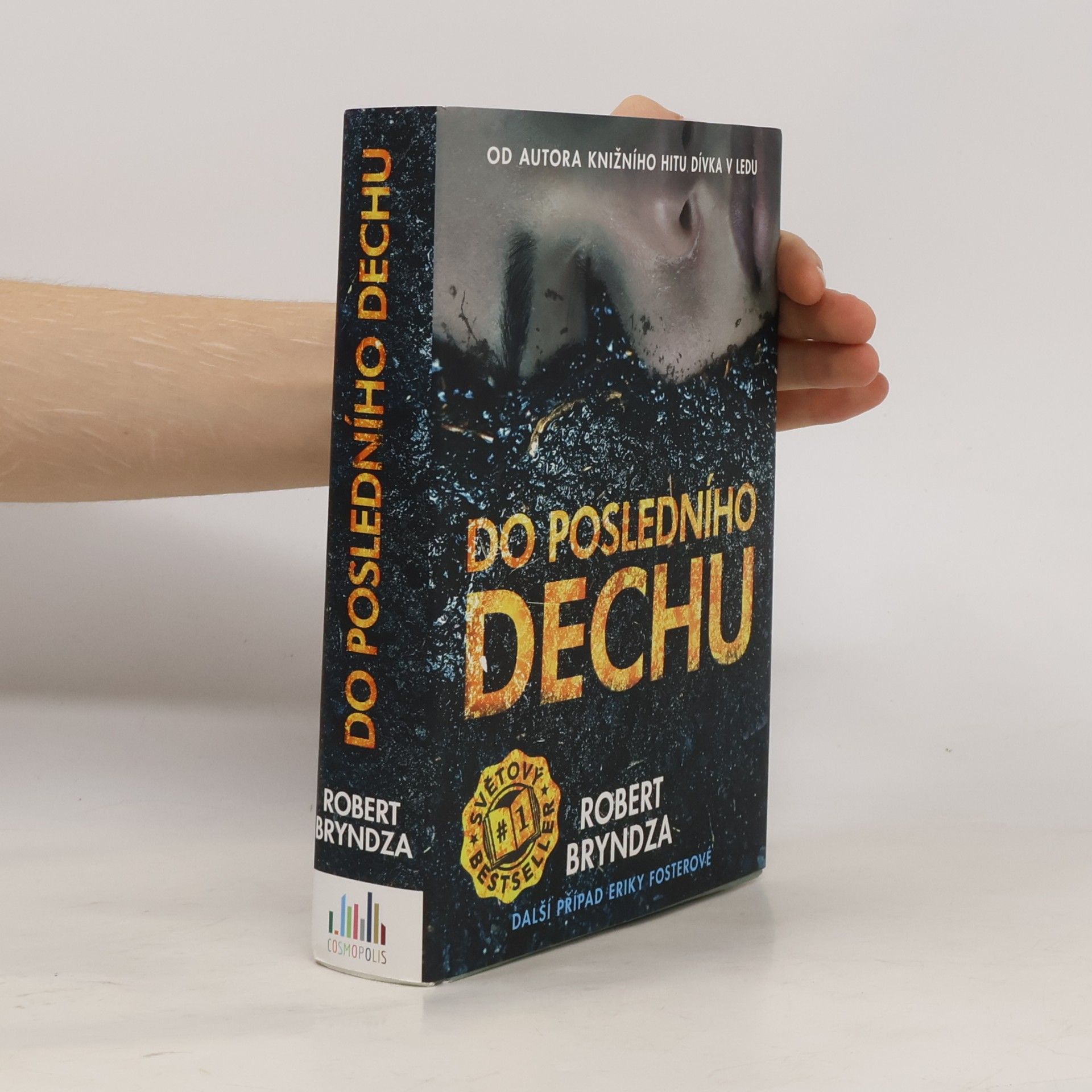 Robert Bryndza Do posledního dechu