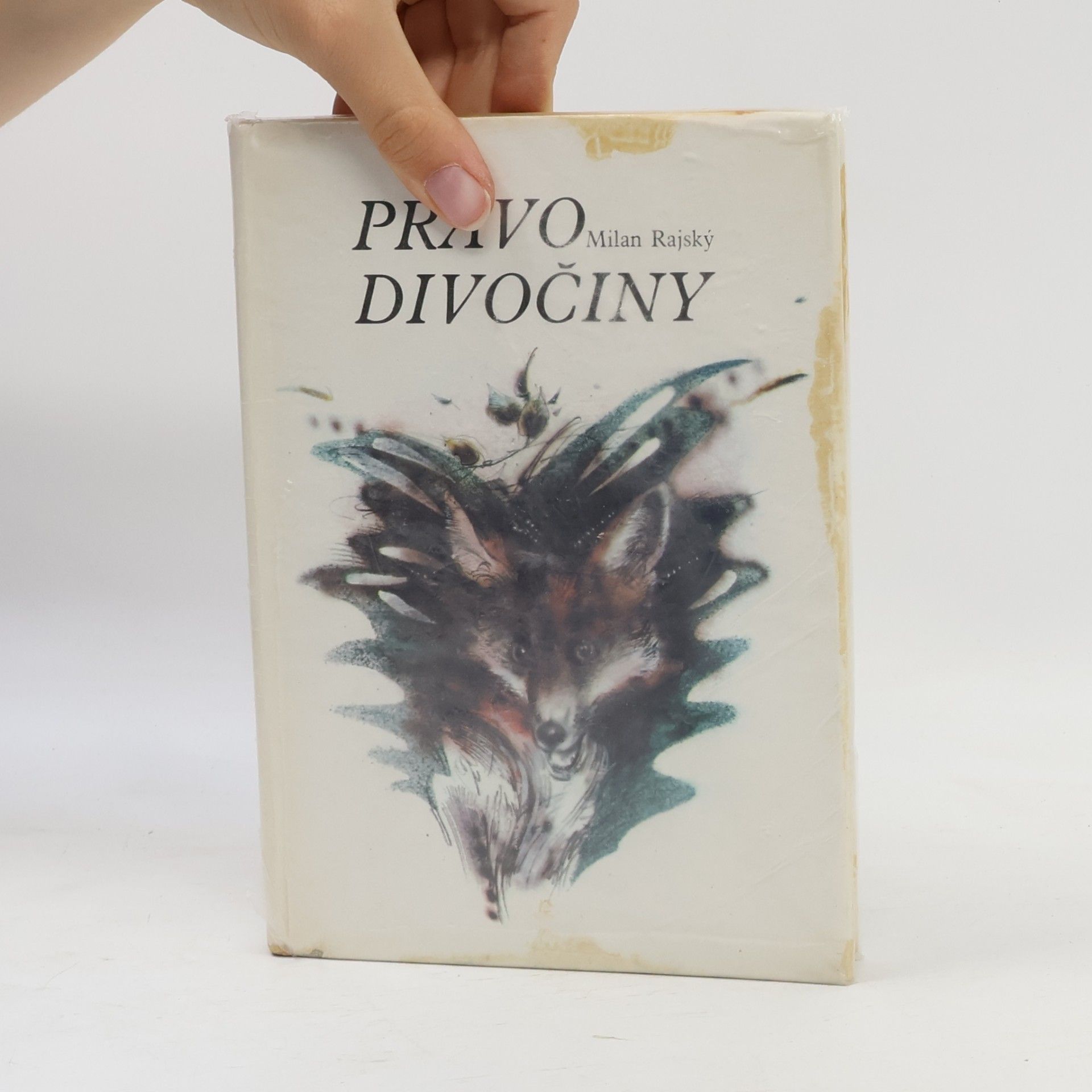 Milan Rajský Právo divočiny