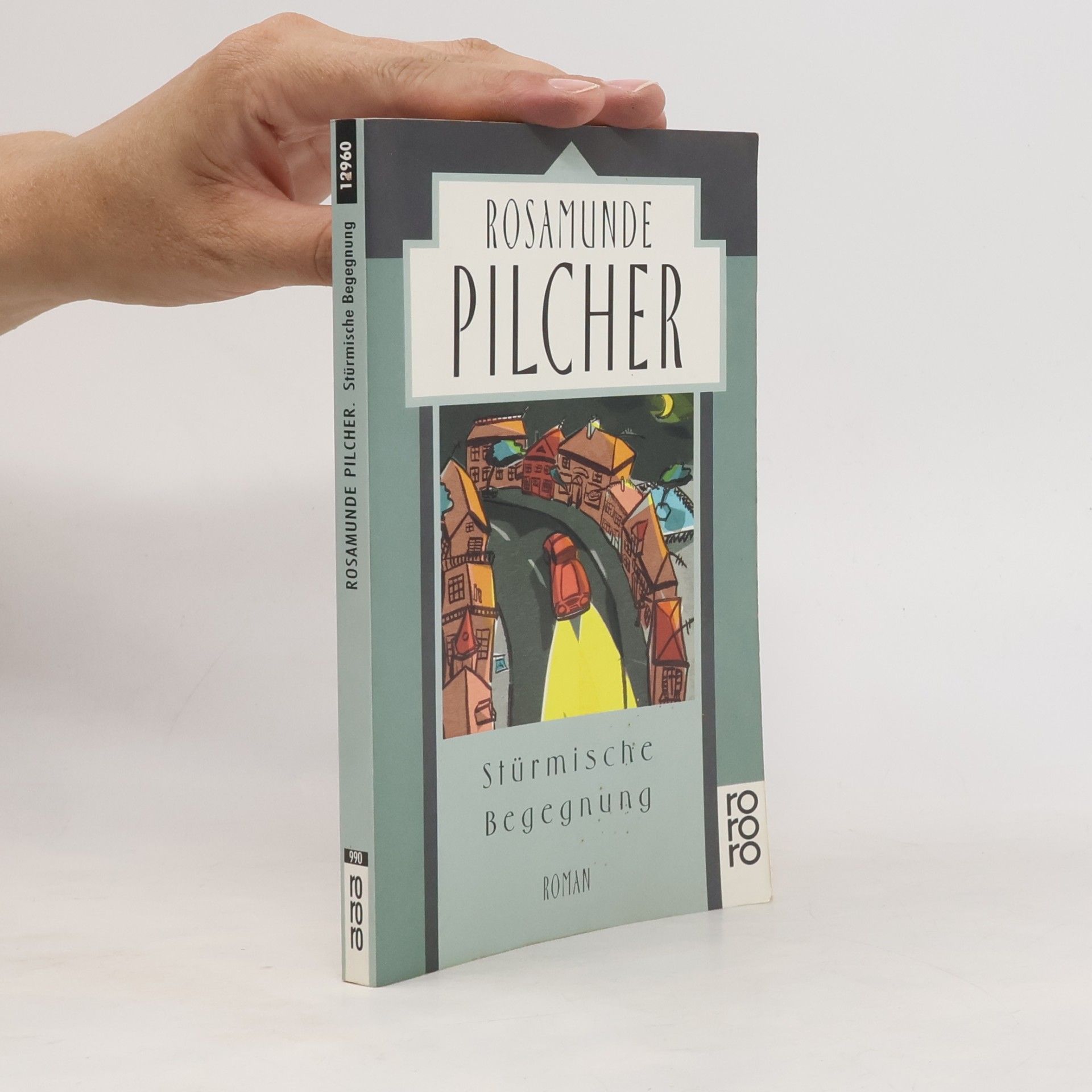 Rosamunde Pilcher Stürmische Begegnung