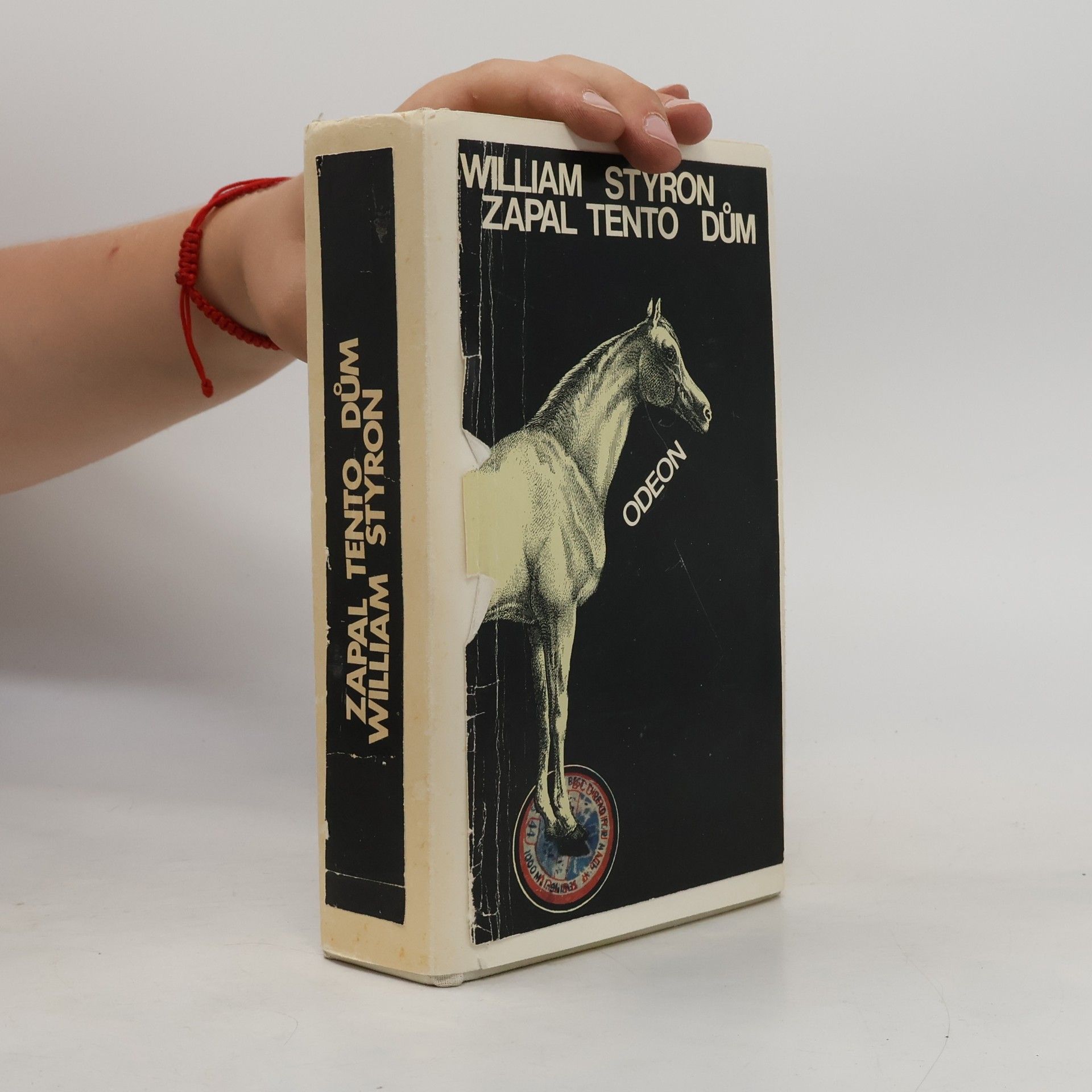William Styron Zapal tento dům