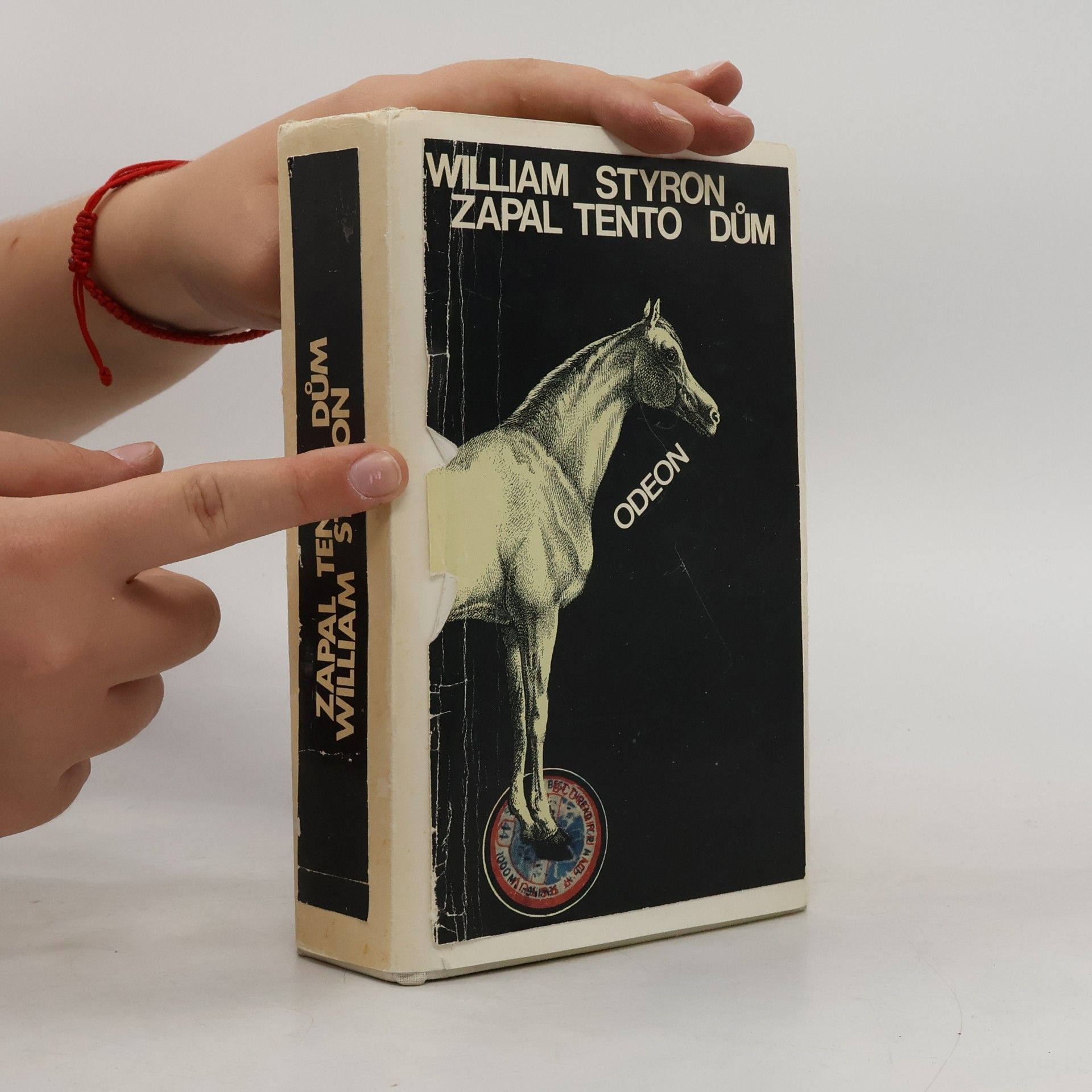 William Styron Zapal tento dům