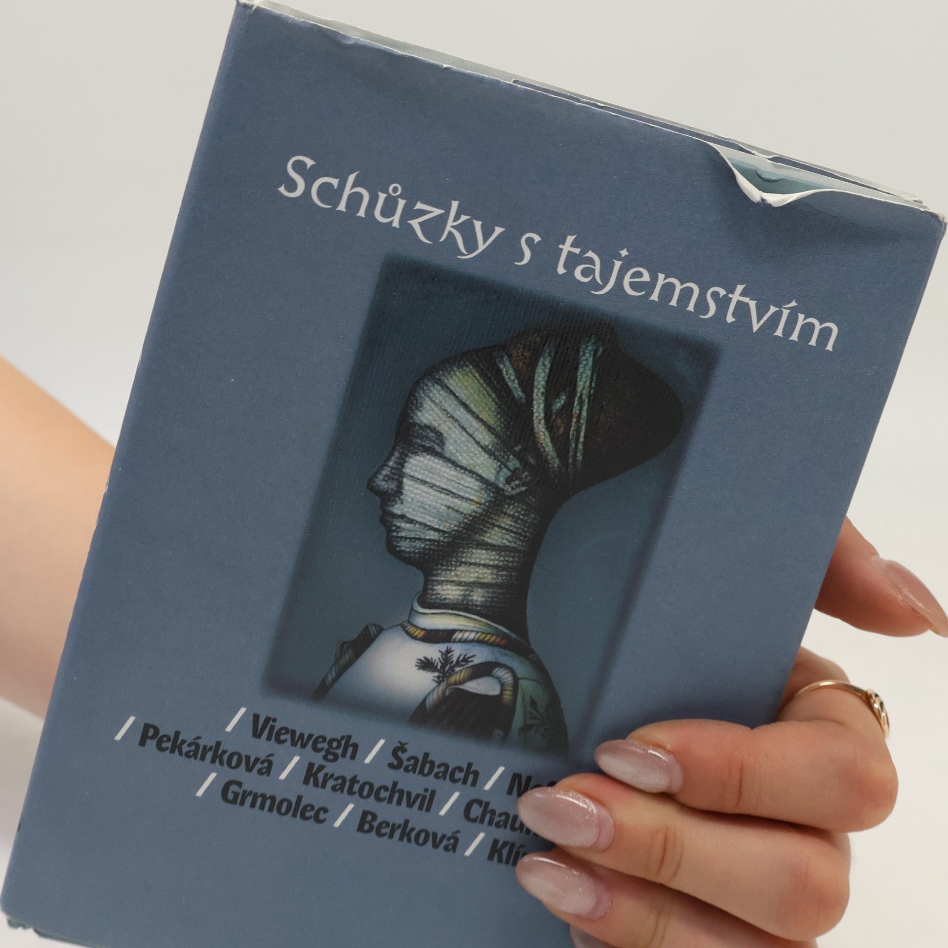 Michal Viewegh Schůzky s tajemstvím