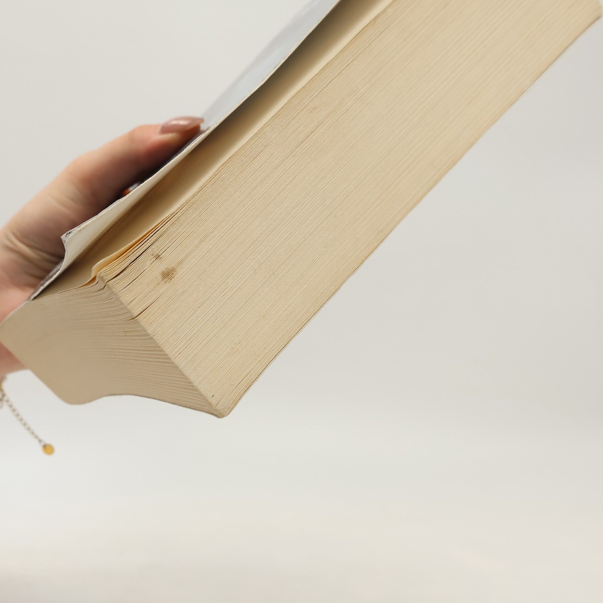 Tana French Ztracený přístav