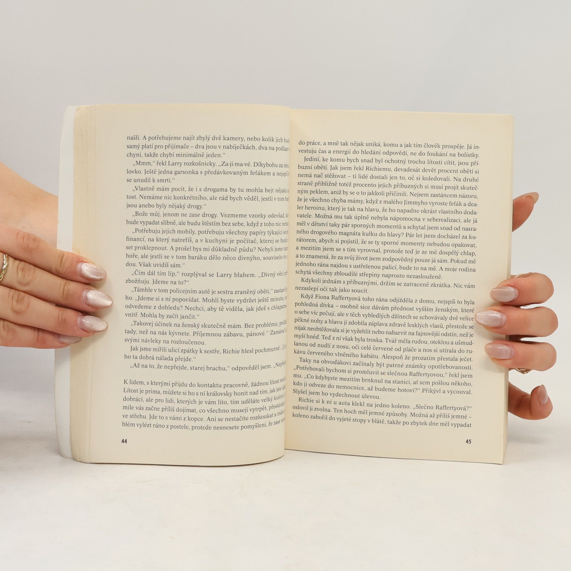 Tana French Ztracený přístav