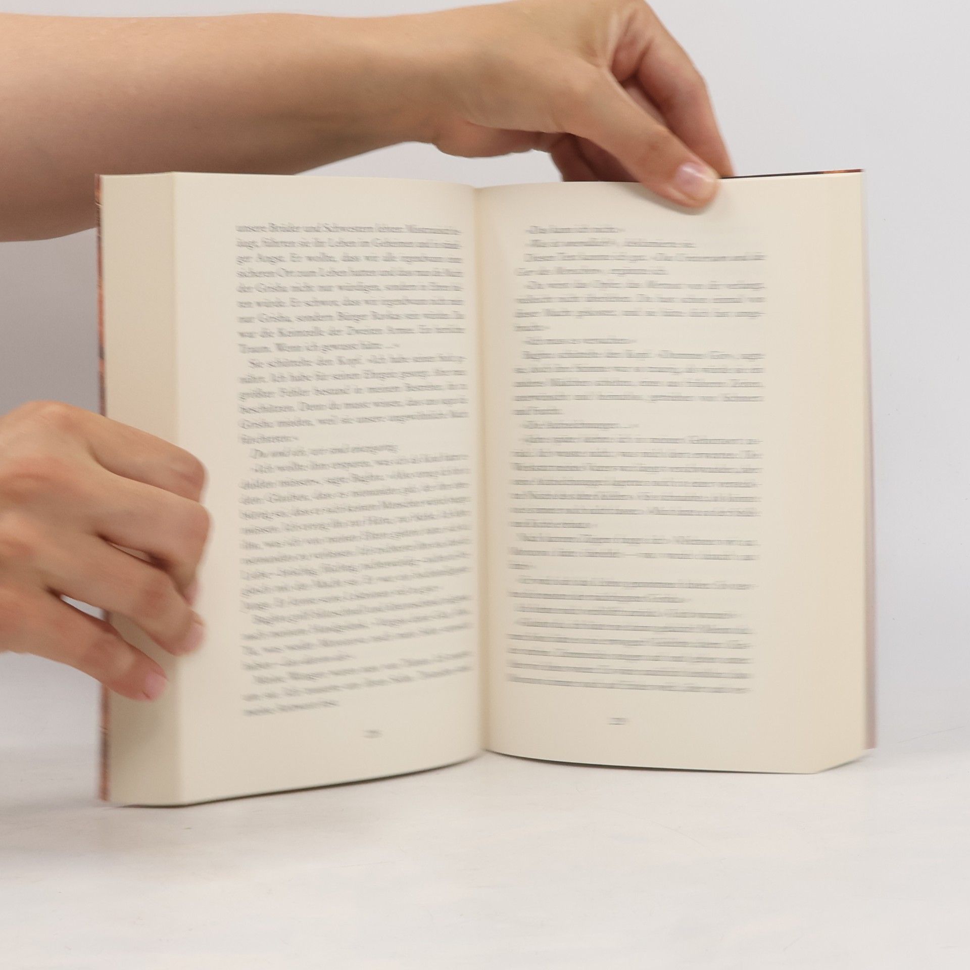 Leigh Bardugo Lodernde Schwingen