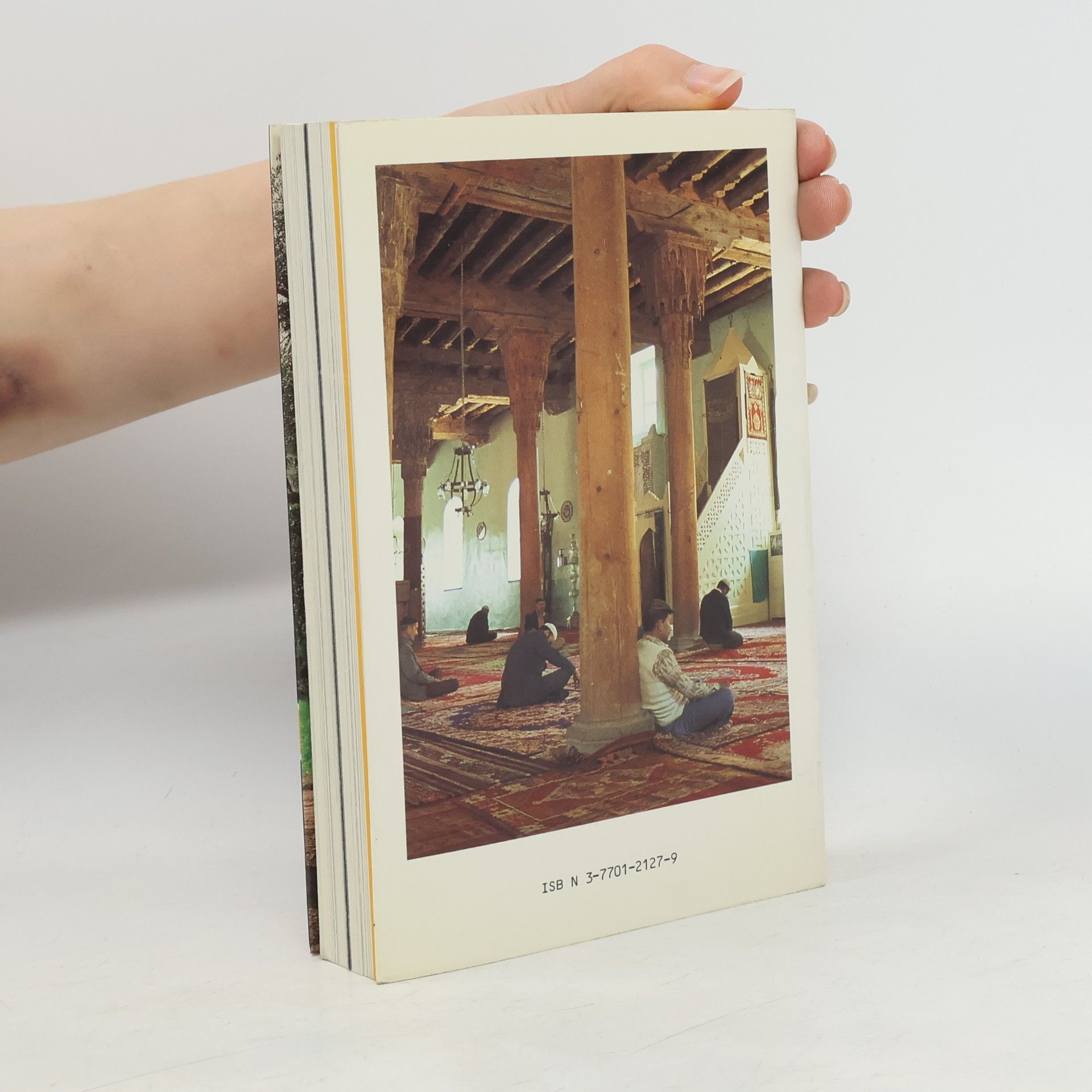 Dux Schneider Türkei : Reise-Handbuch