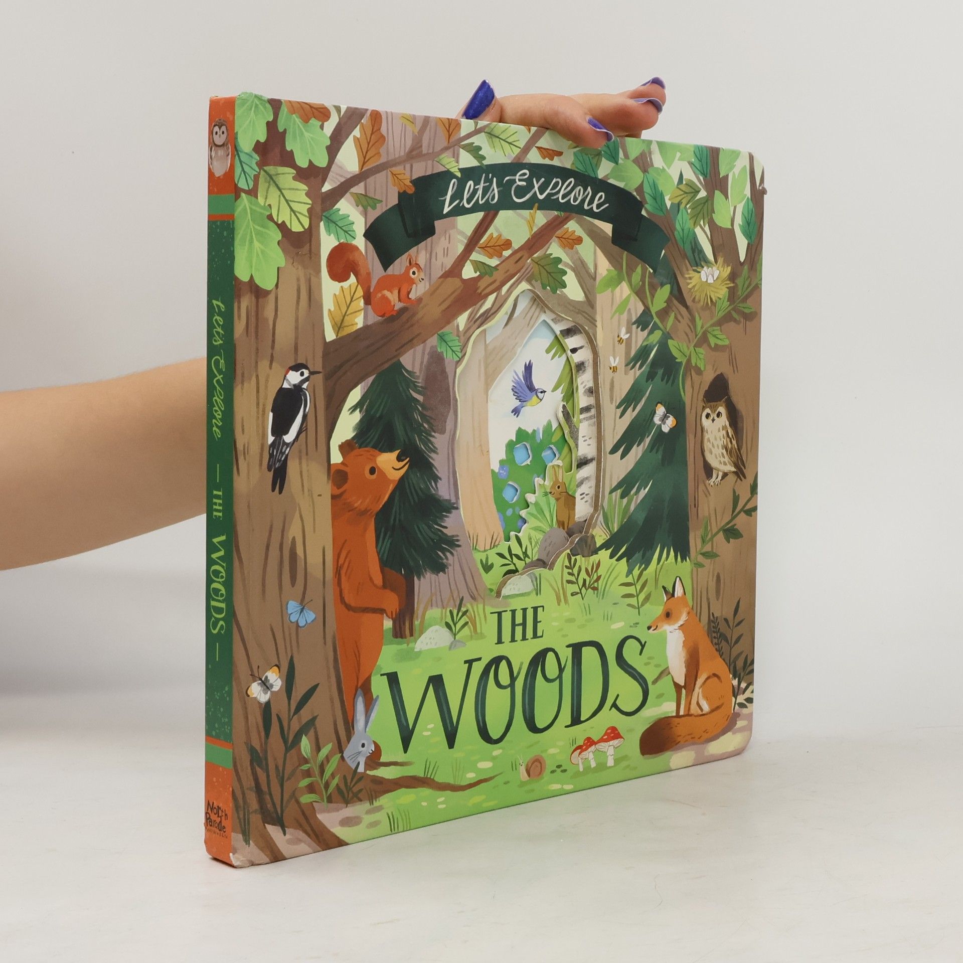 Laura Garnerburt Let's Explore the Woods