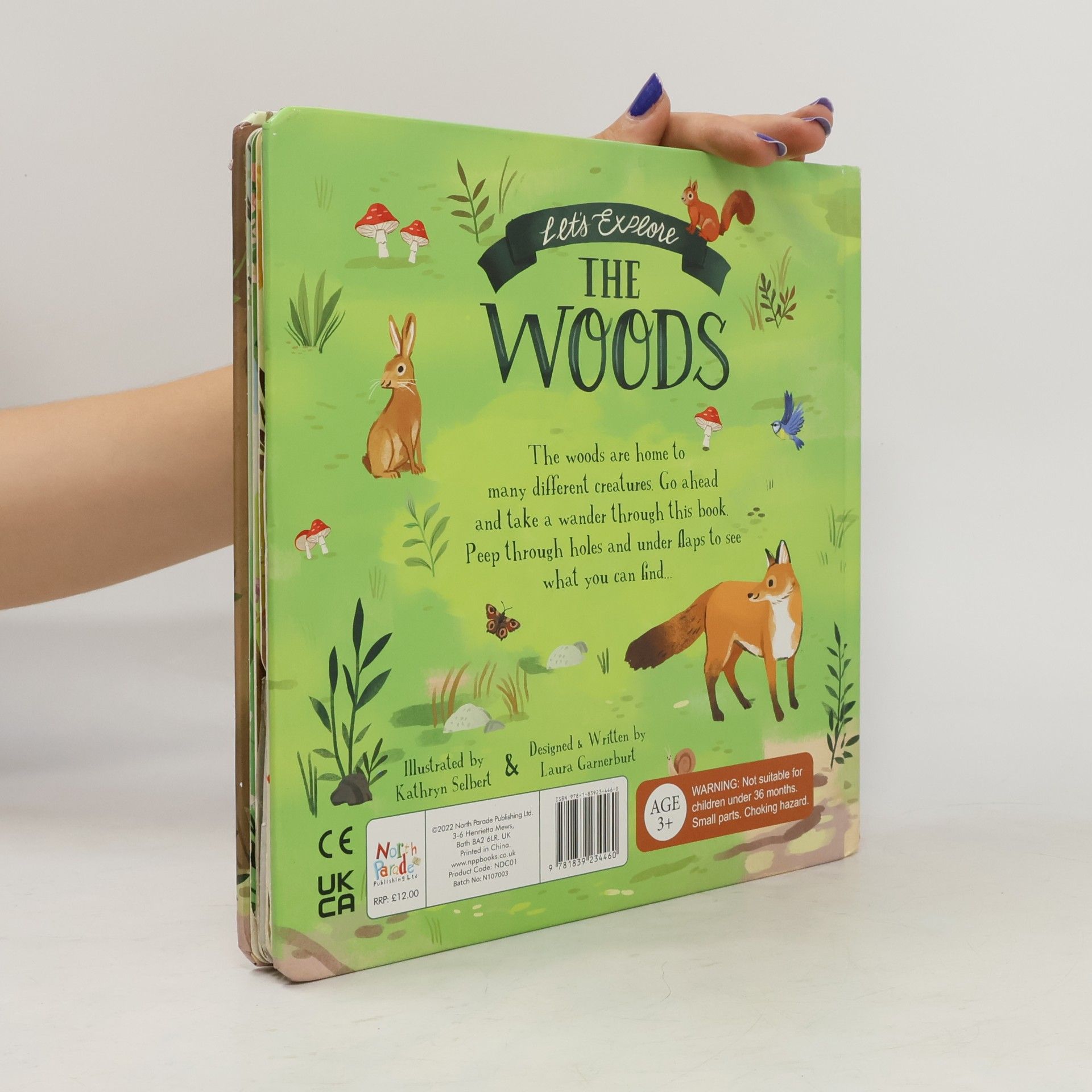 Laura Garnerburt Let's Explore the Woods