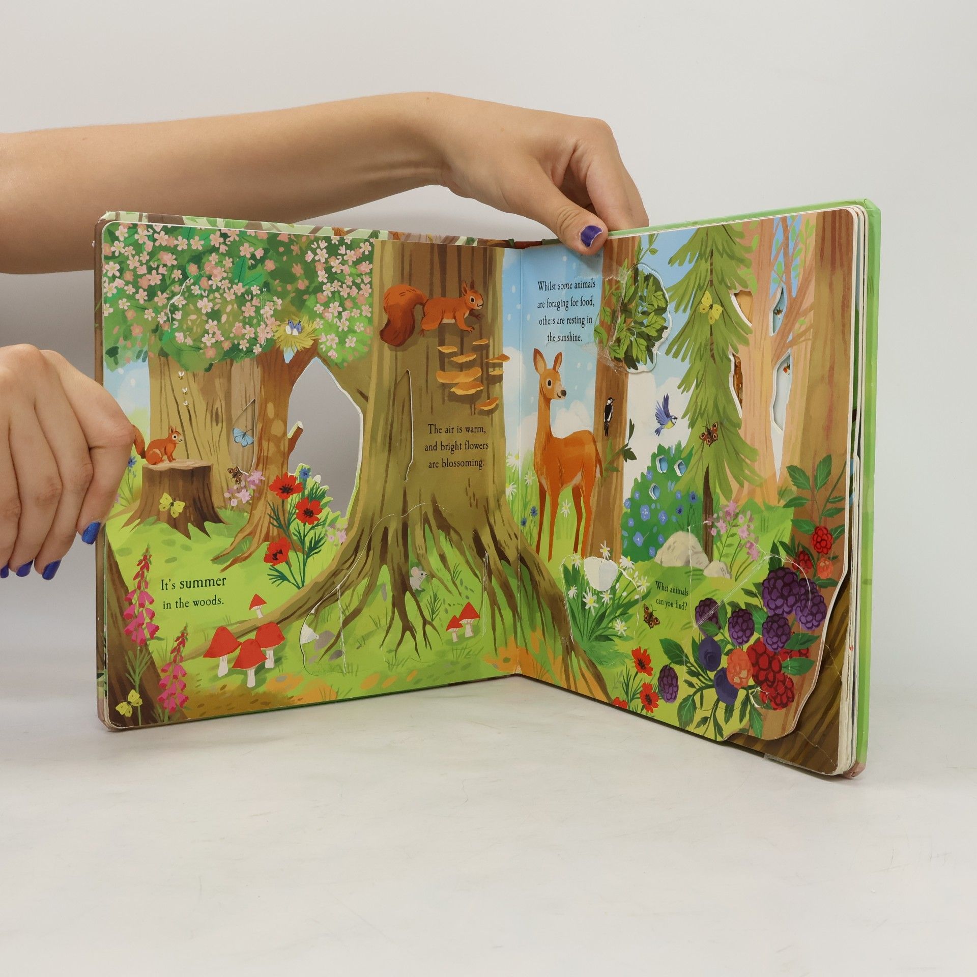 Laura Garnerburt Let's Explore the Woods