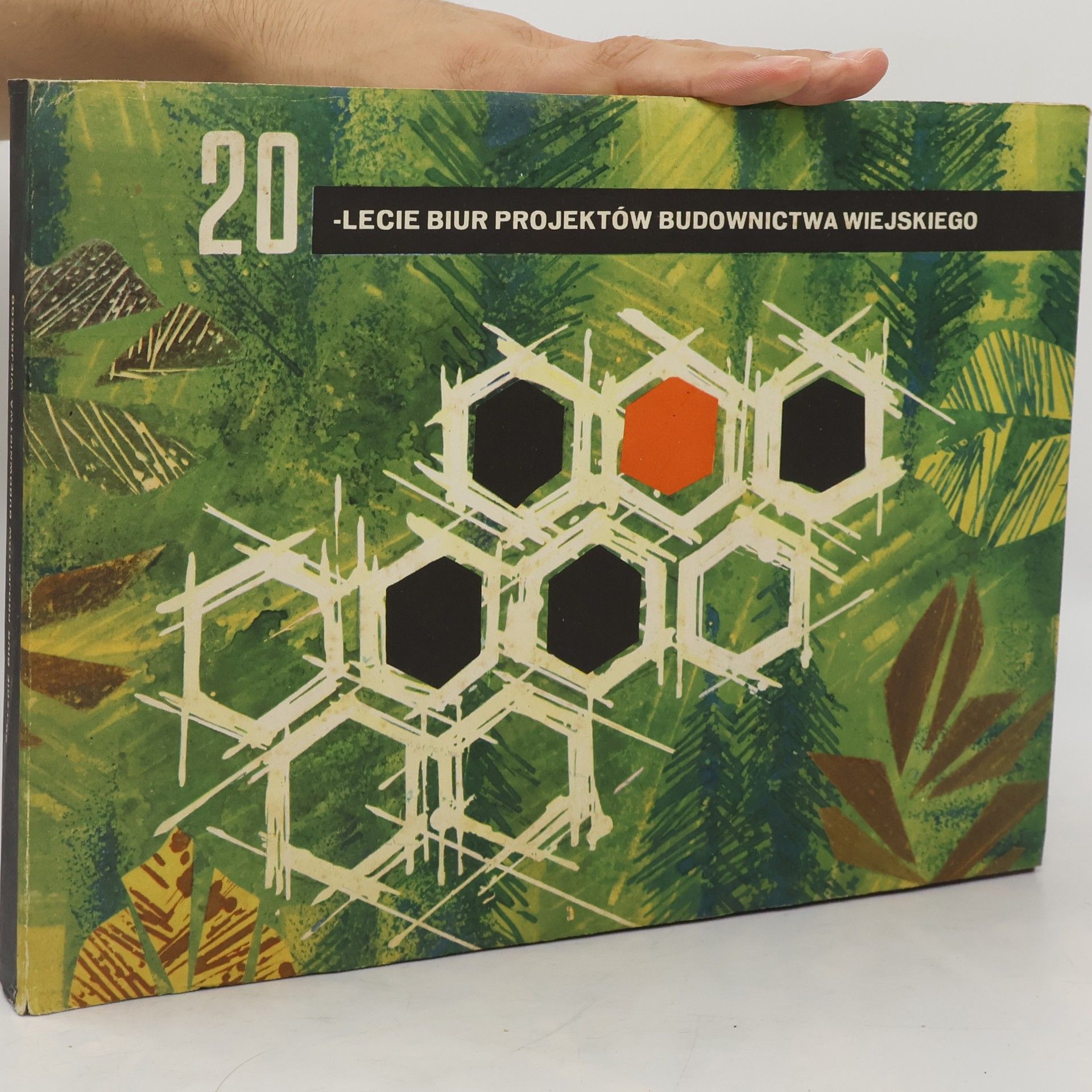Autorenkollektiv 20 lecie biur projektow budownictwa wiejskiego