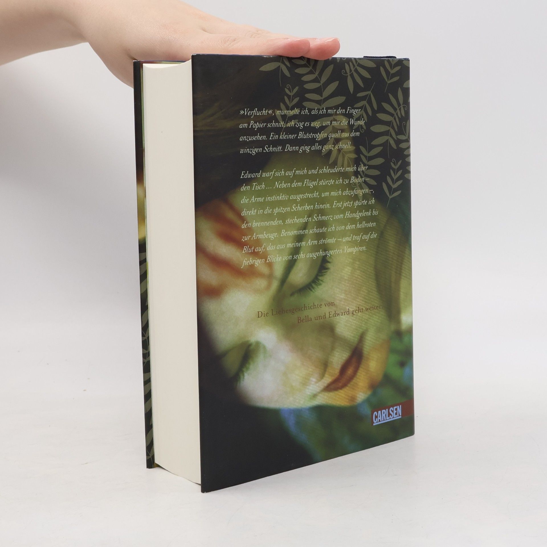Stephenie Meyer Biss zur Mittagsstunde