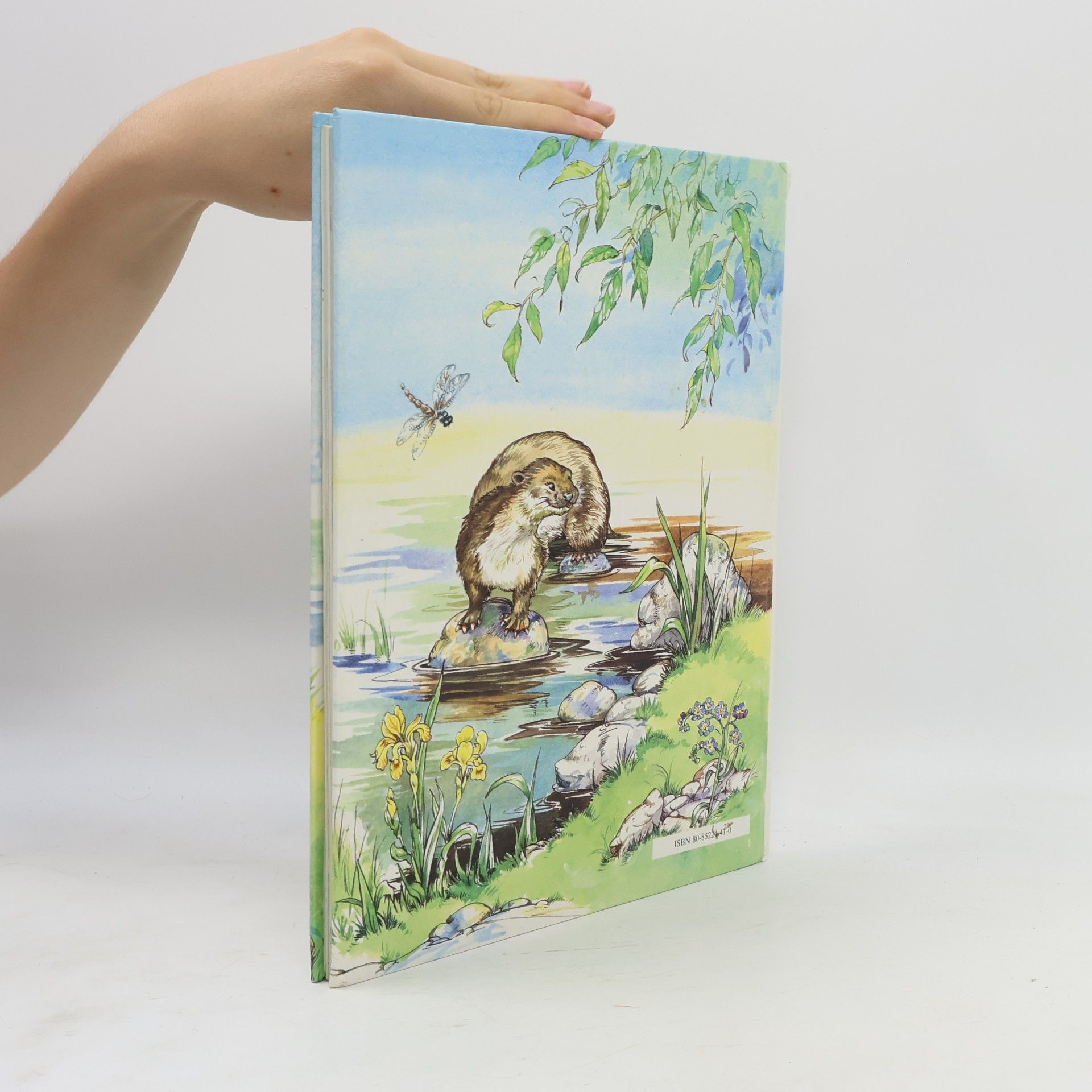 Kenneth Grahame Rozprávky spod vŕby