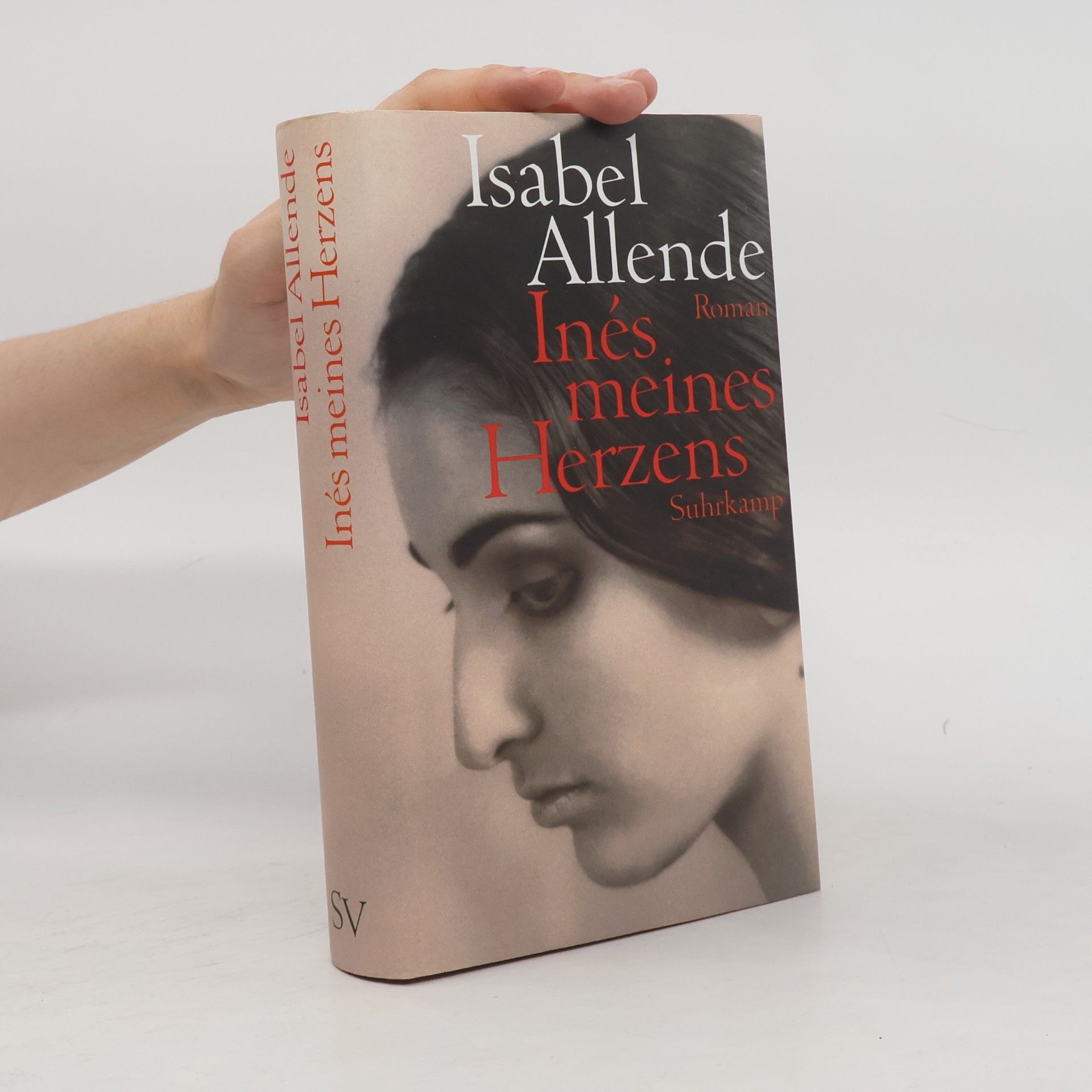 Isabel Allende Inés meines Herzens