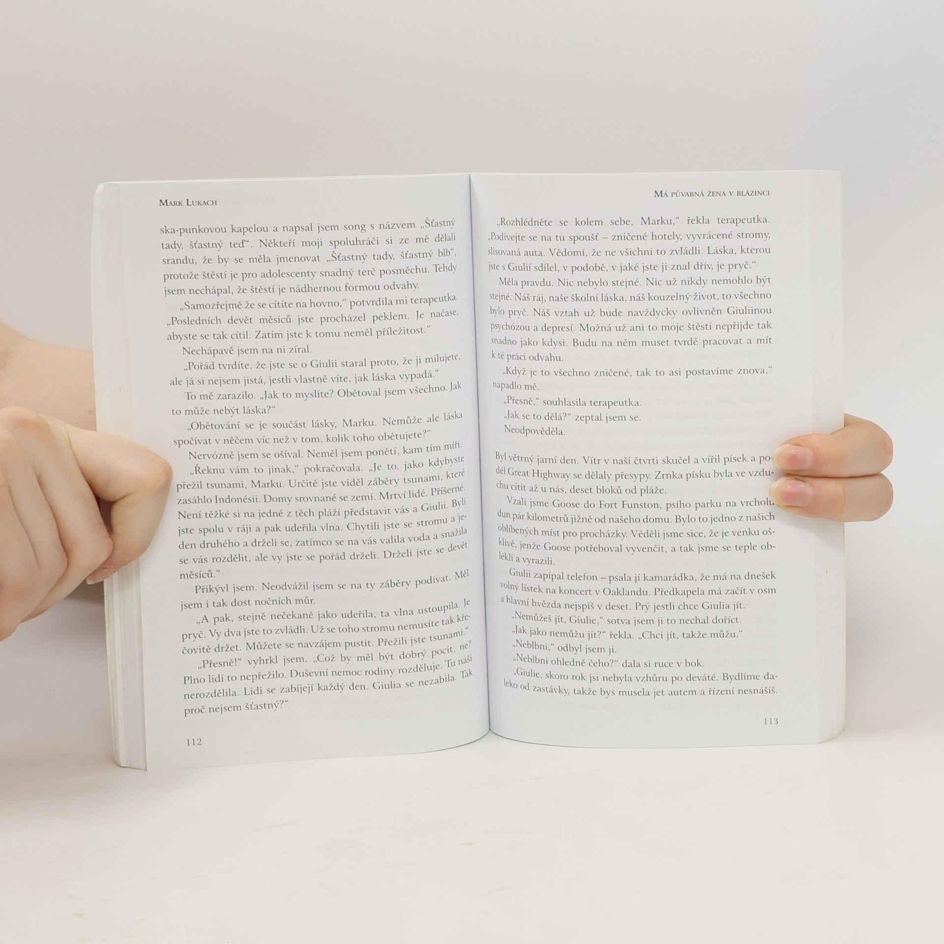 Mark Lukach Má půvabná žena v blázinci : autobiografie